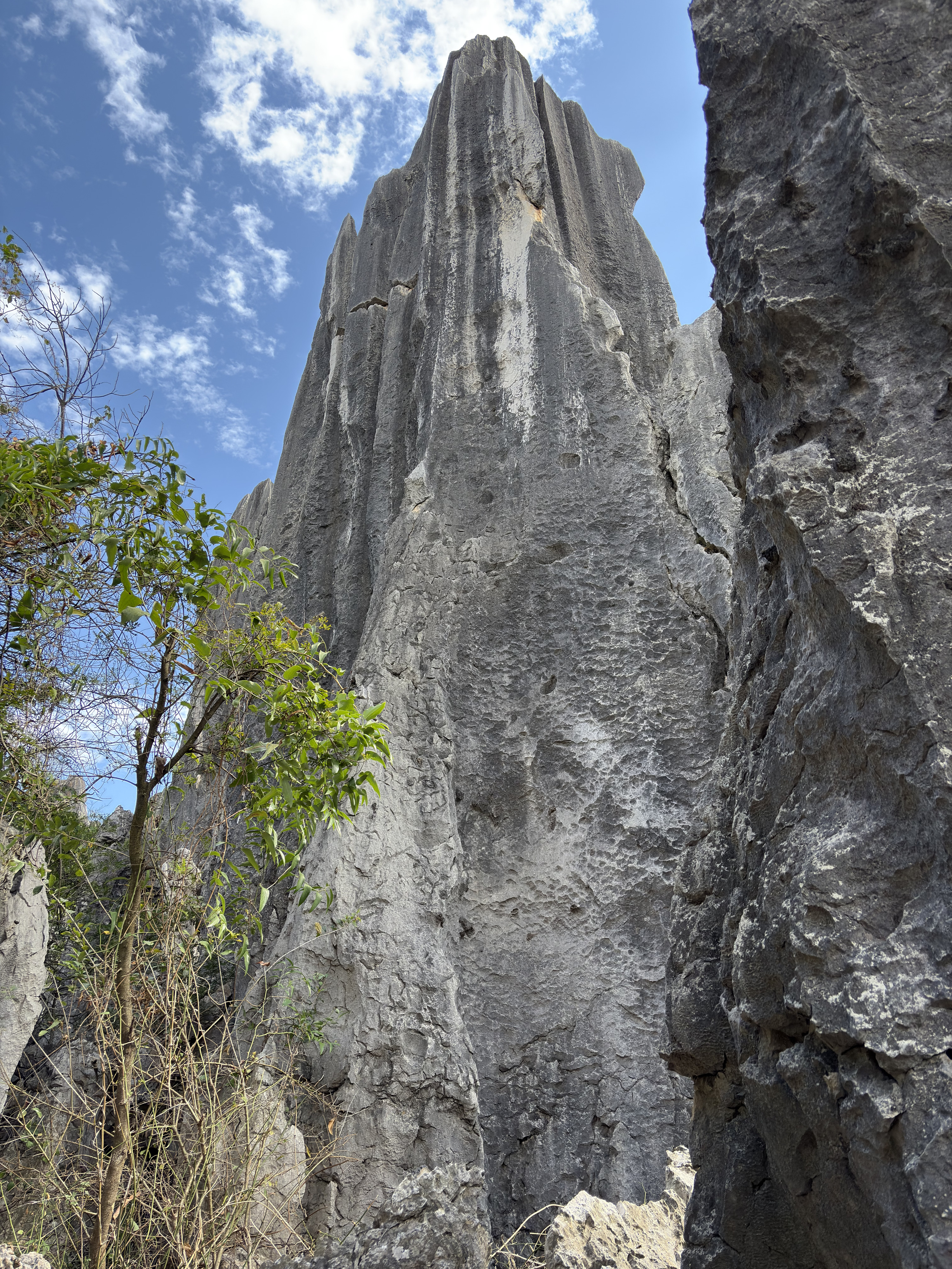 Picture China Shilin Stone Forest 2026-01 335 - Discovery Shilin Stone Forest