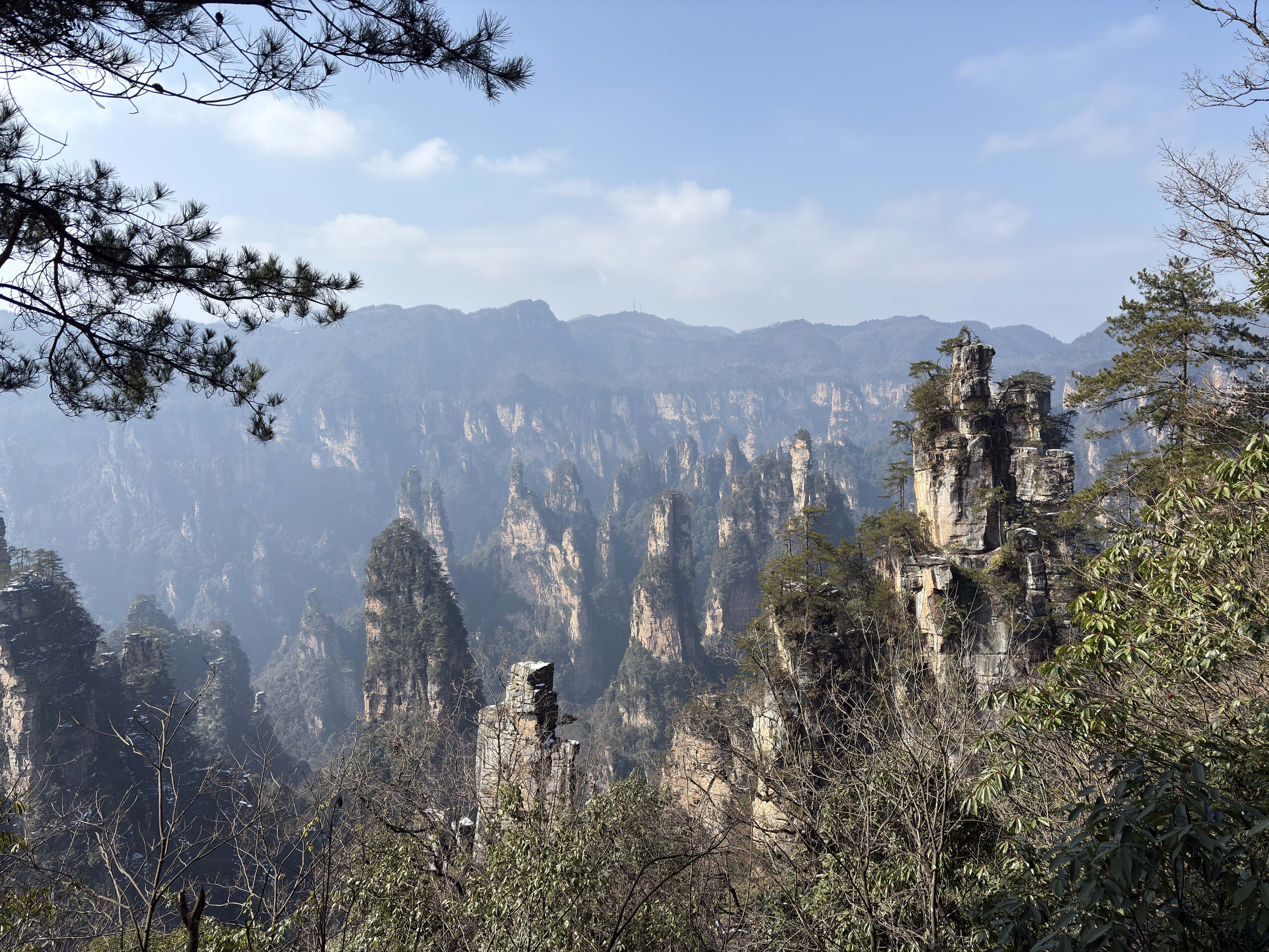 Picture China Zhangjiajie Tianzi Mountrain 2026-01 74 - Center Tianzi Mountrain