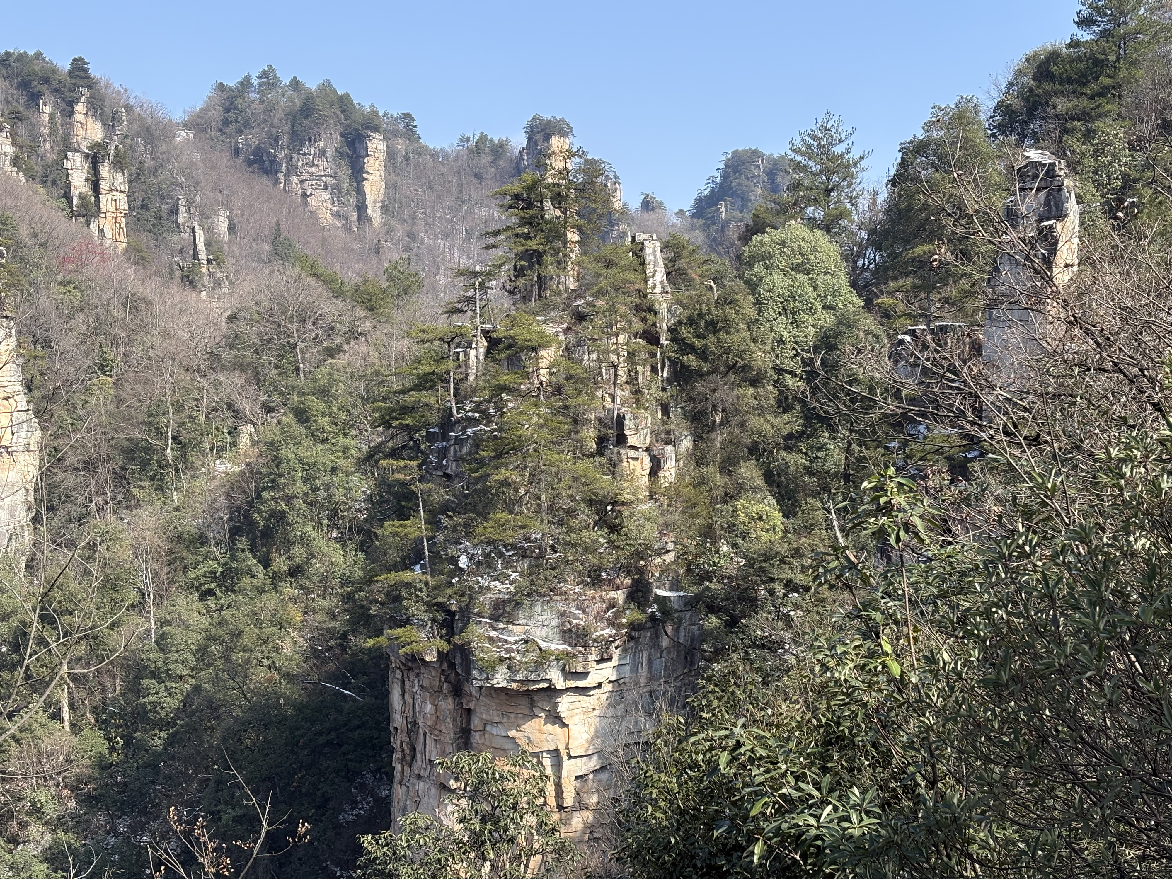 Picture China Zhangjiajie Tianzi Mountrain 2026-01 259 - Center Tianzi Mountrain