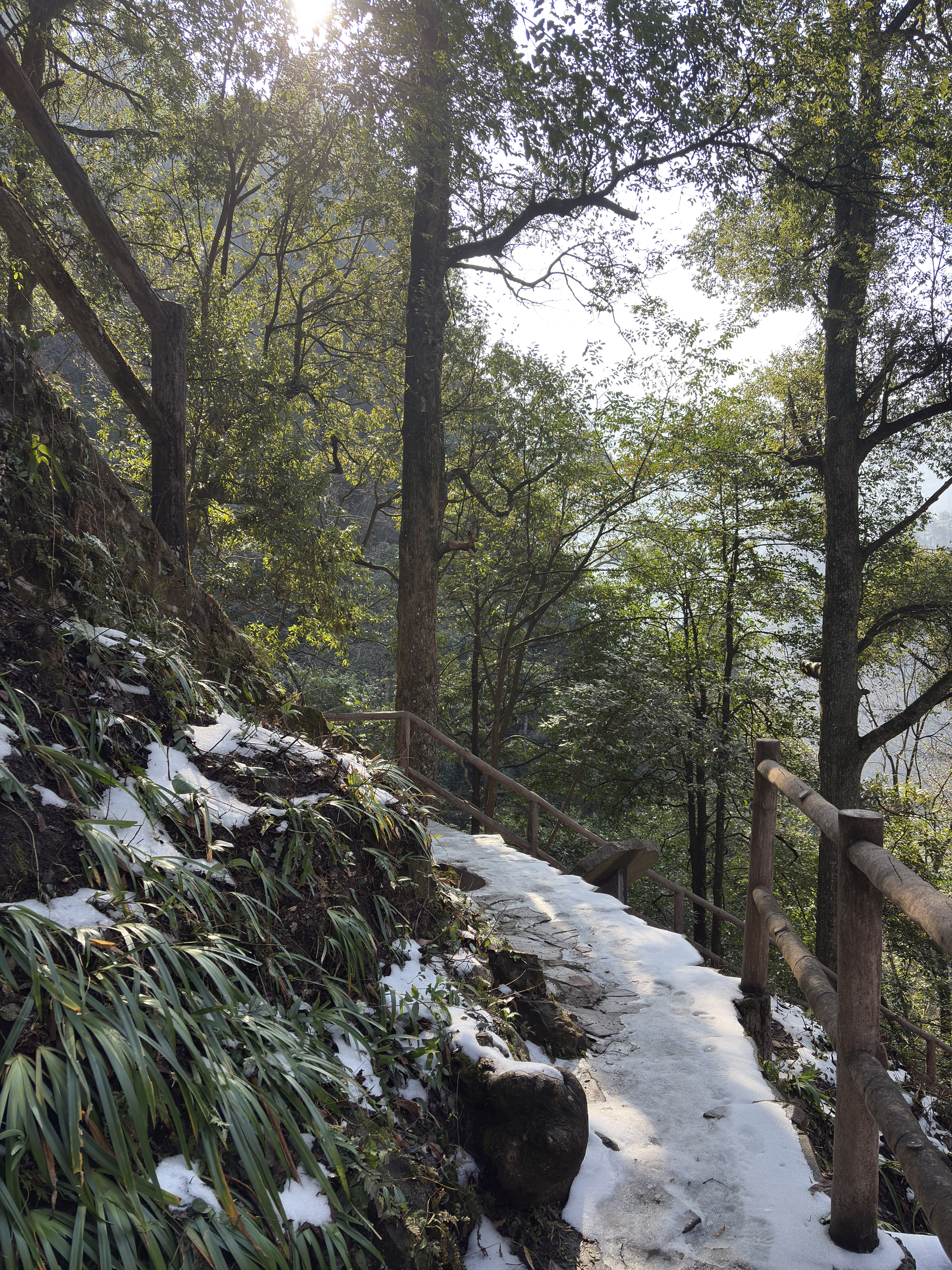 Picture China Zhangjiajie Tianzi Mountrain 2026-01 205 - Discovery Tianzi Mountrain