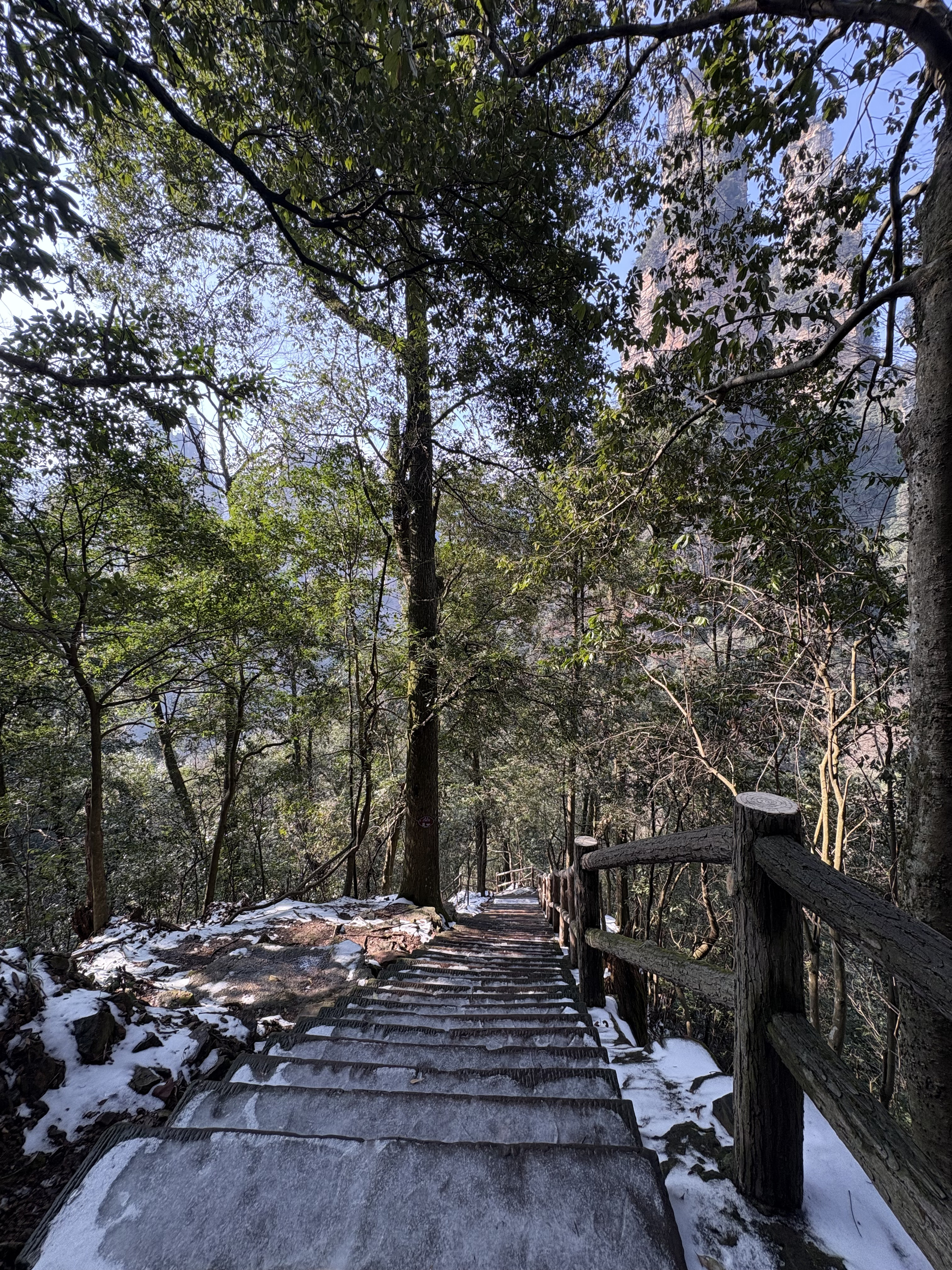 Picture China Zhangjiajie Tianzi Mountrain 2026-01 432 - Tour Tianzi Mountrain