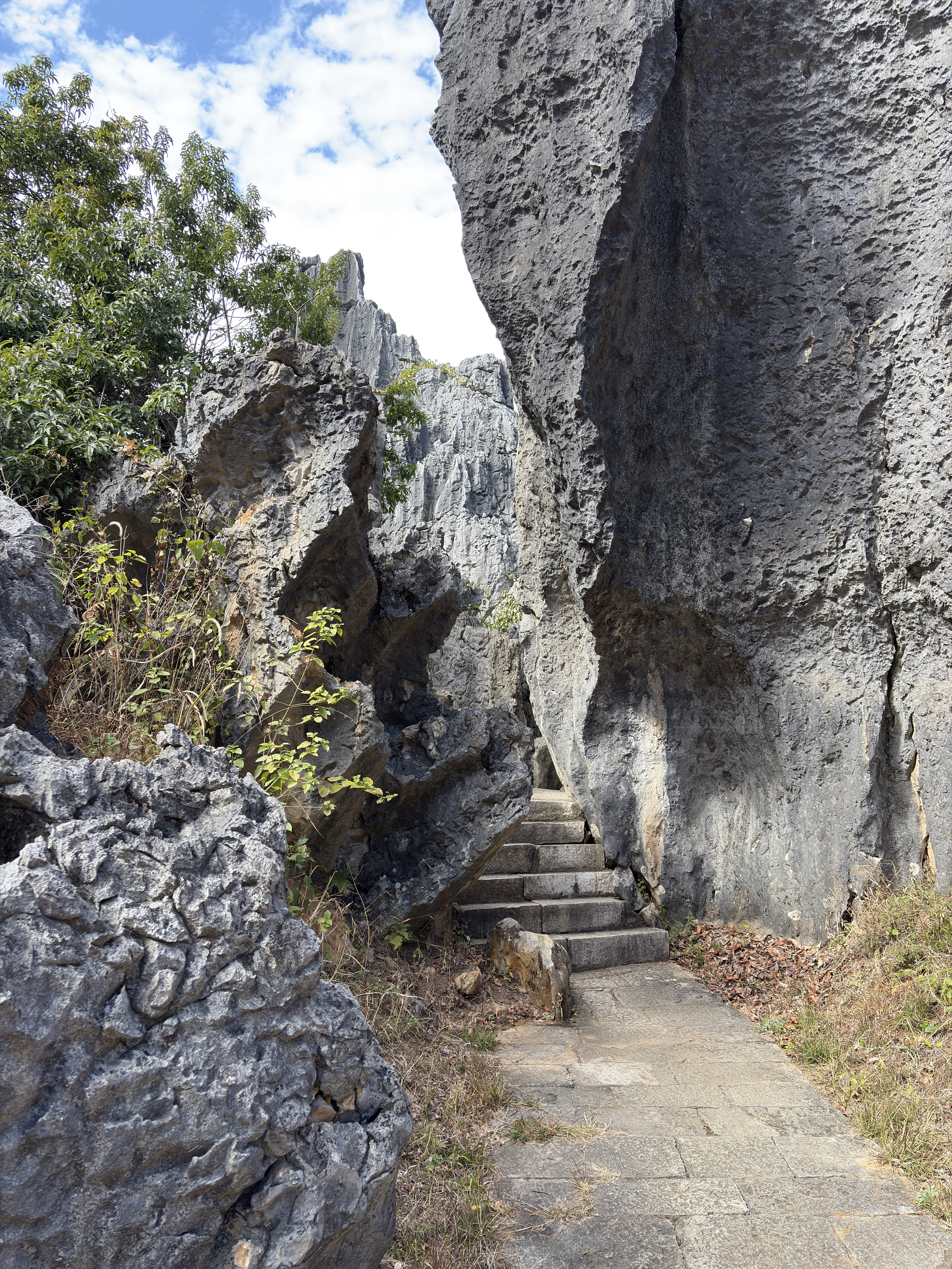 Picture China Shilin Stone Forest 2026-01 318 - Around Shilin Stone Forest
