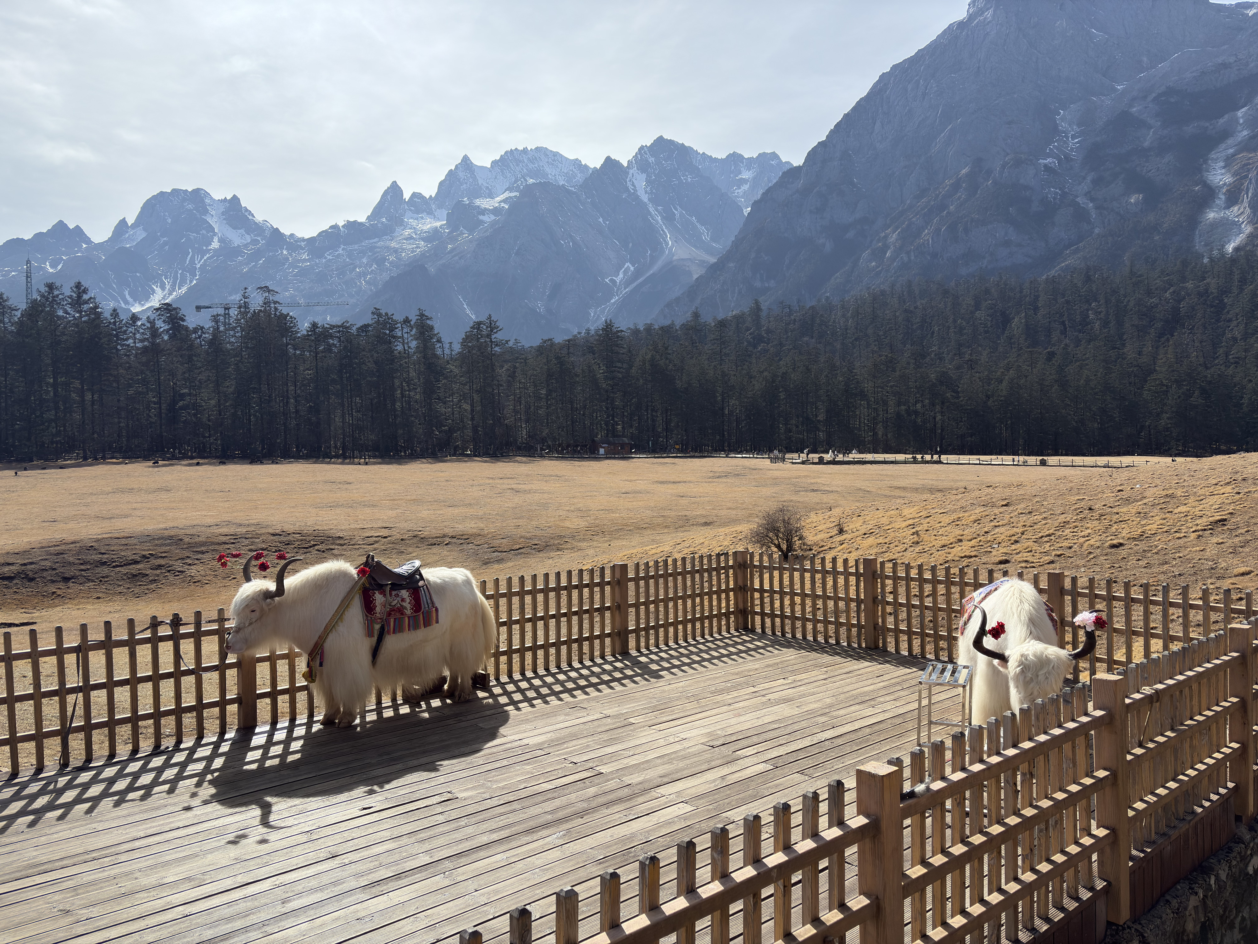 Picture China Lijiang Blue moon valley 2026-01 61 - Discovery Blue moon valley