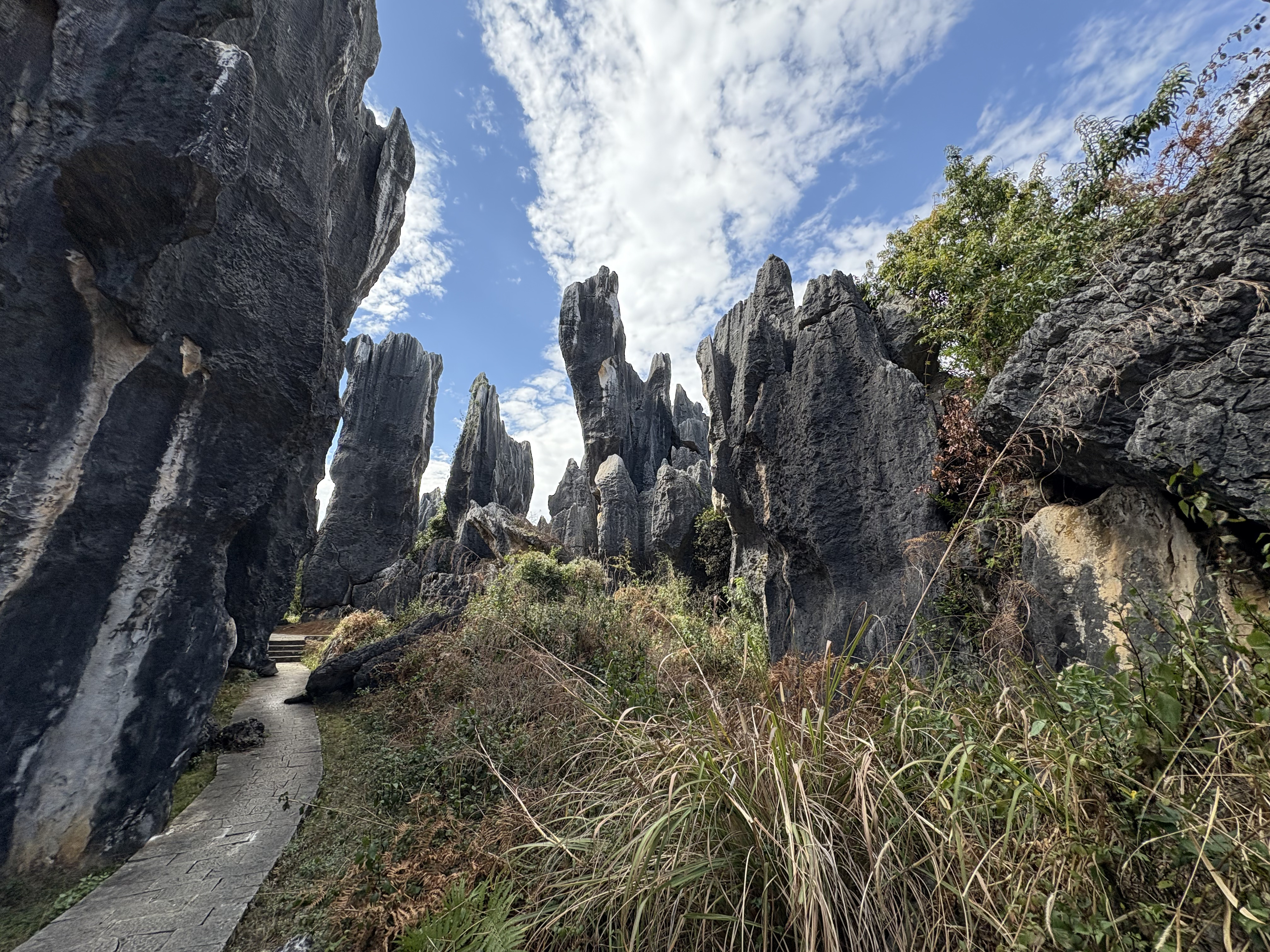 Picture China Shilin Stone Forest 2026-01 162 - Journey Shilin Stone Forest