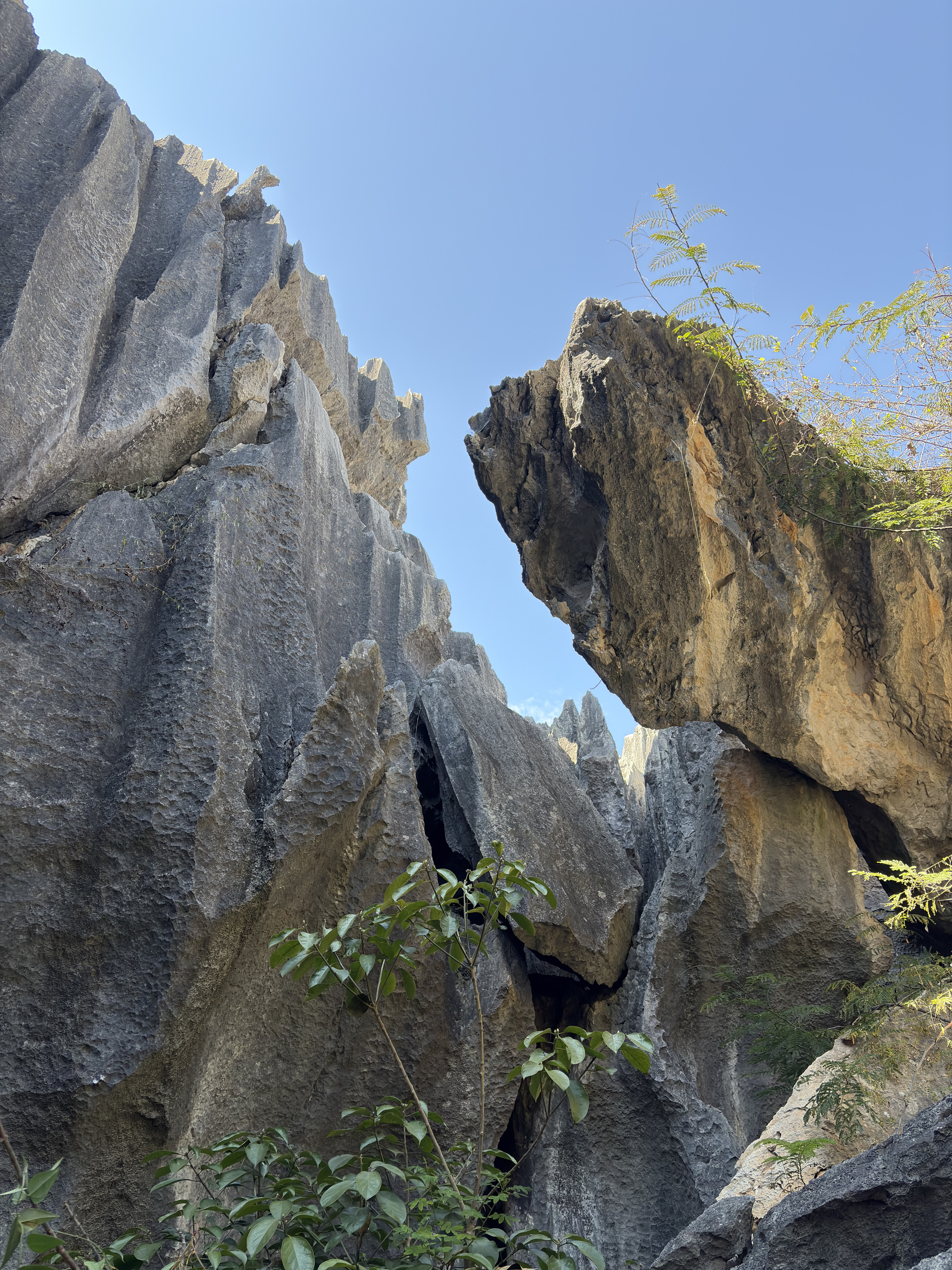 Picture China Shilin Stone Forest 2026-01 287 - Recreation Shilin Stone Forest