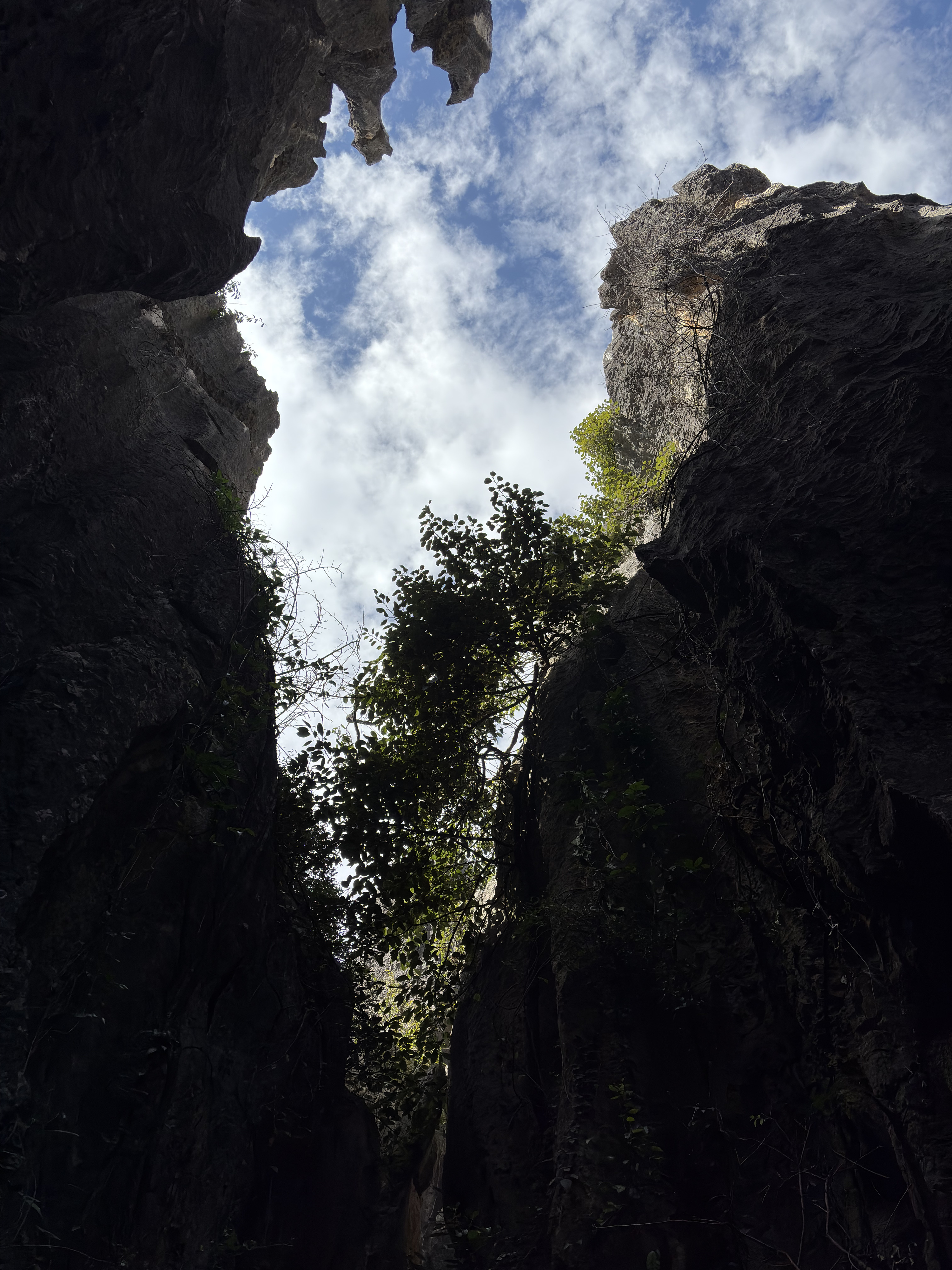 Picture China Shilin Stone Forest 2026-01 243 - Journey Shilin Stone Forest