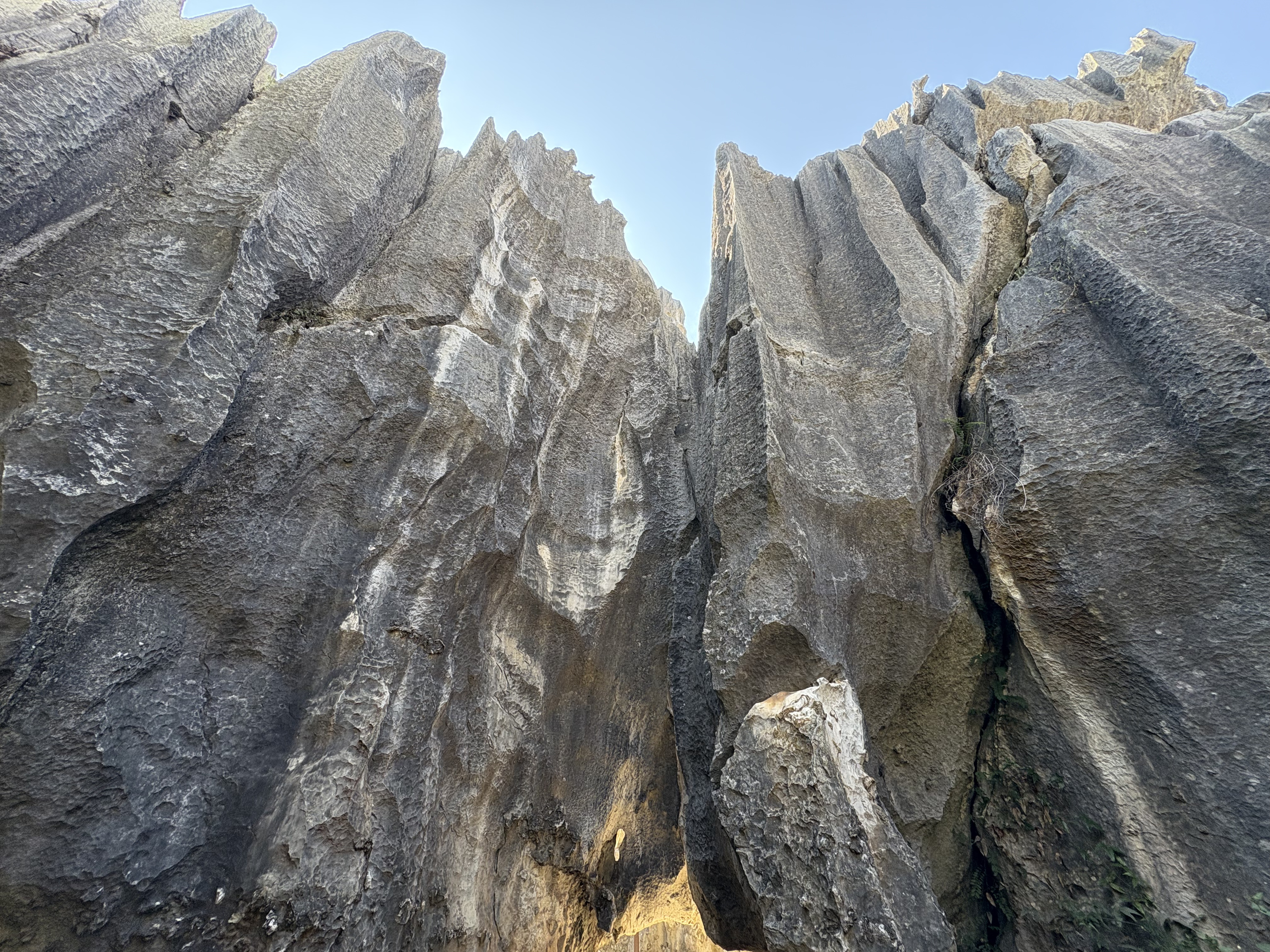 Picture China Shilin Stone Forest 2026-01 341 - Journey Shilin Stone Forest