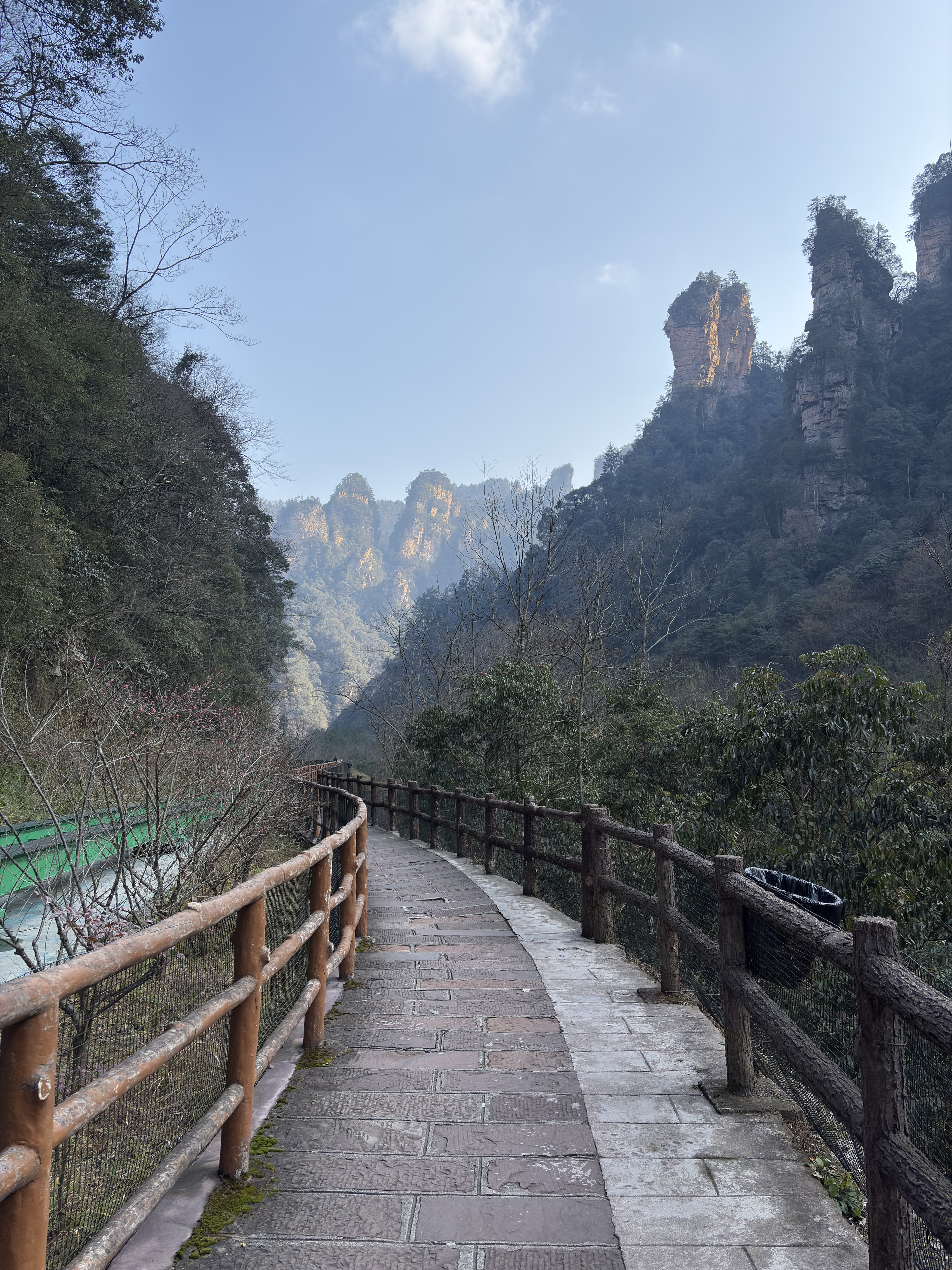 Picture China Zhangjiajie Tianzi Mountrain 2026-01 177 - Journey Tianzi Mountrain