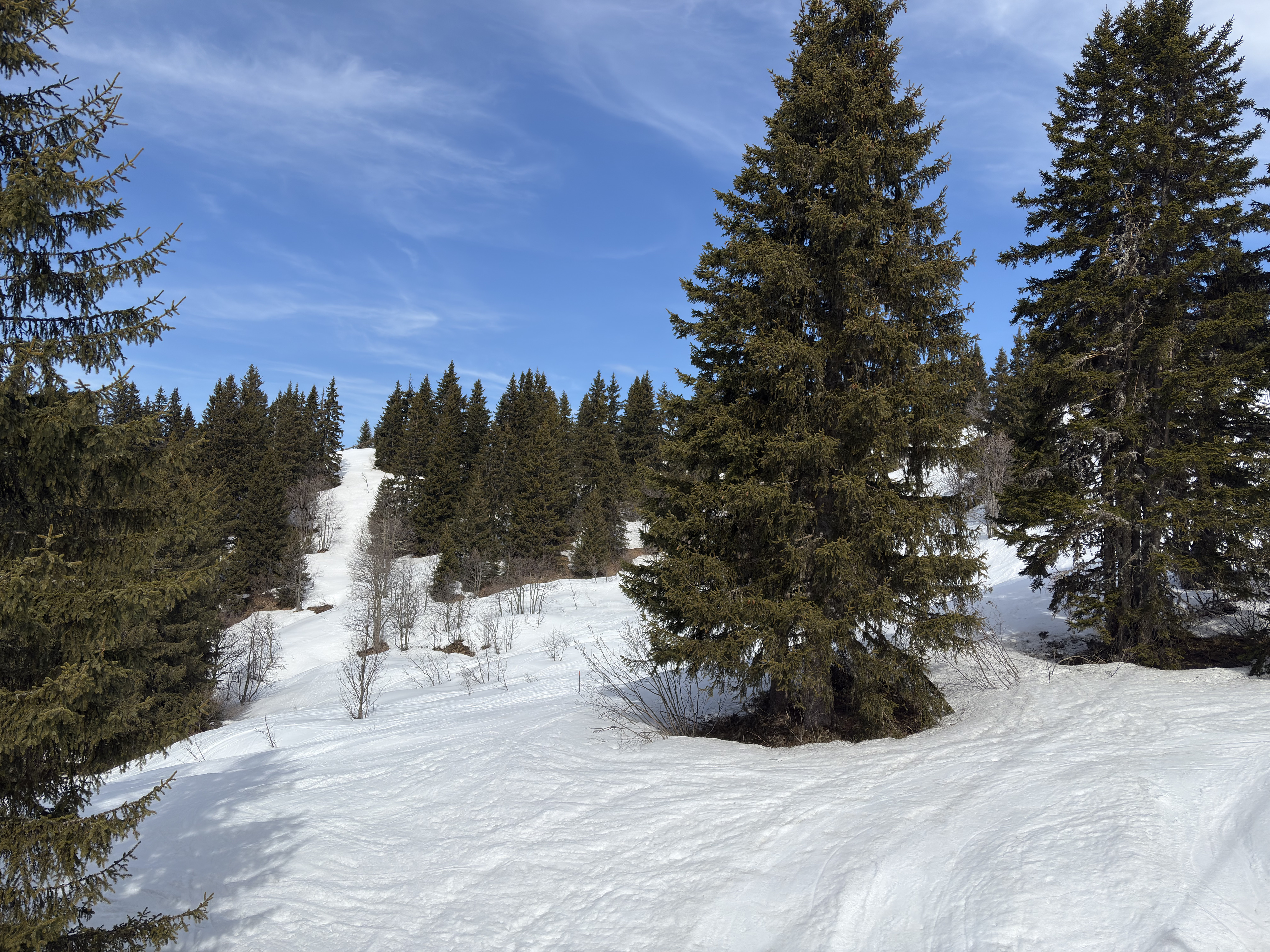 Picture France Praz sur Arly 2025-02 73