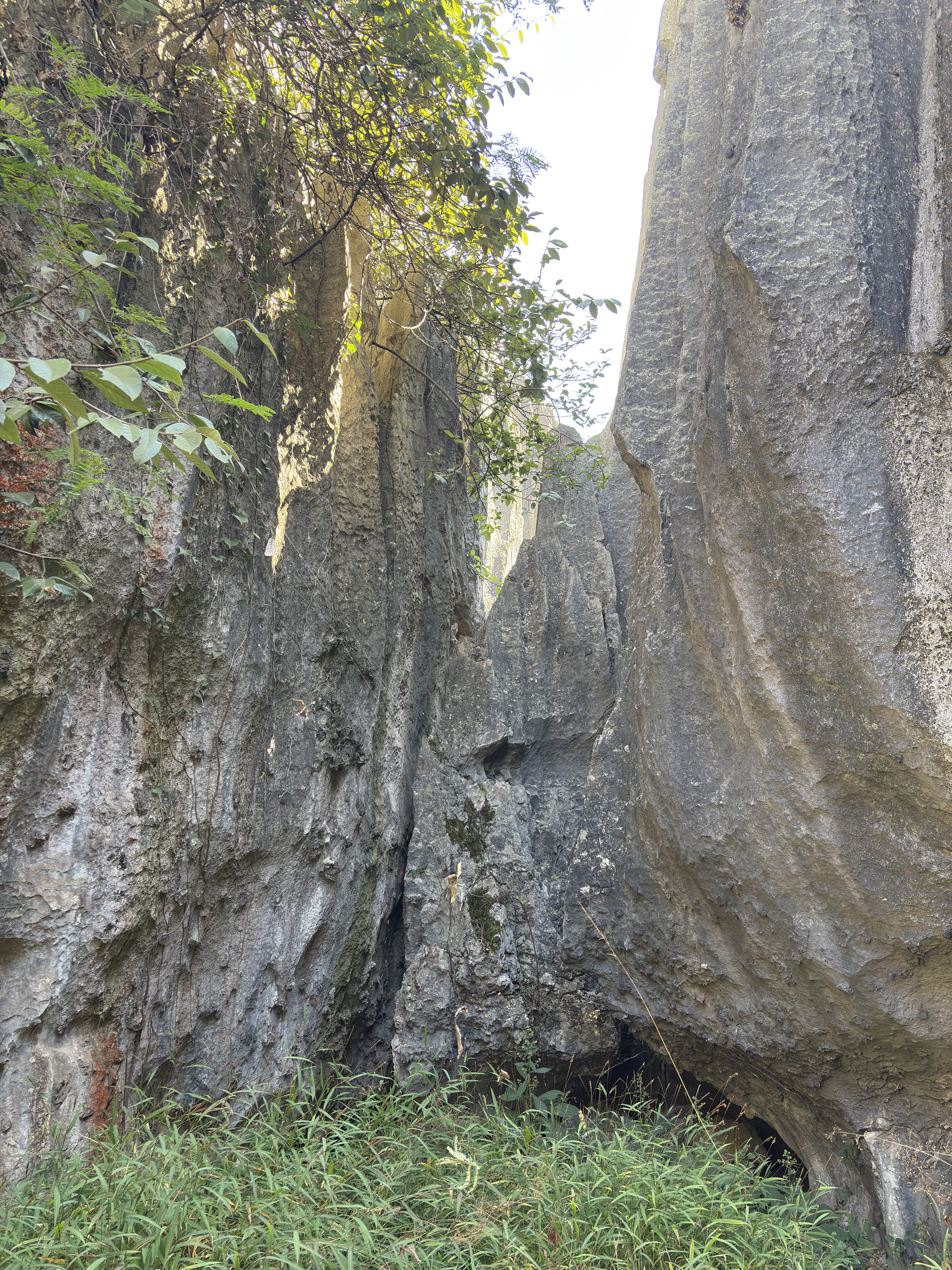 Picture China Shilin Stone Forest 2026-01 360 - Recreation Shilin Stone Forest