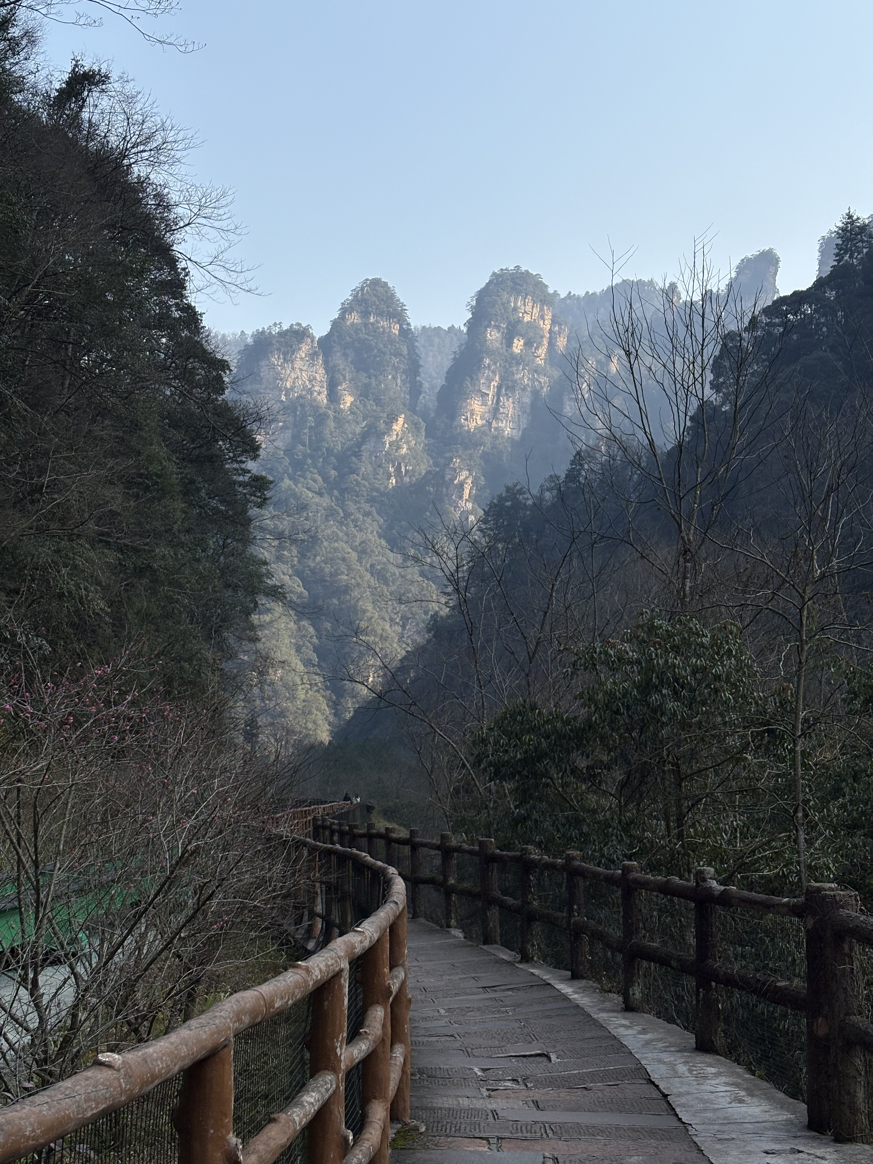 Picture China Zhangjiajie Tianzi Mountrain 2026-01 151 - Around Tianzi Mountrain