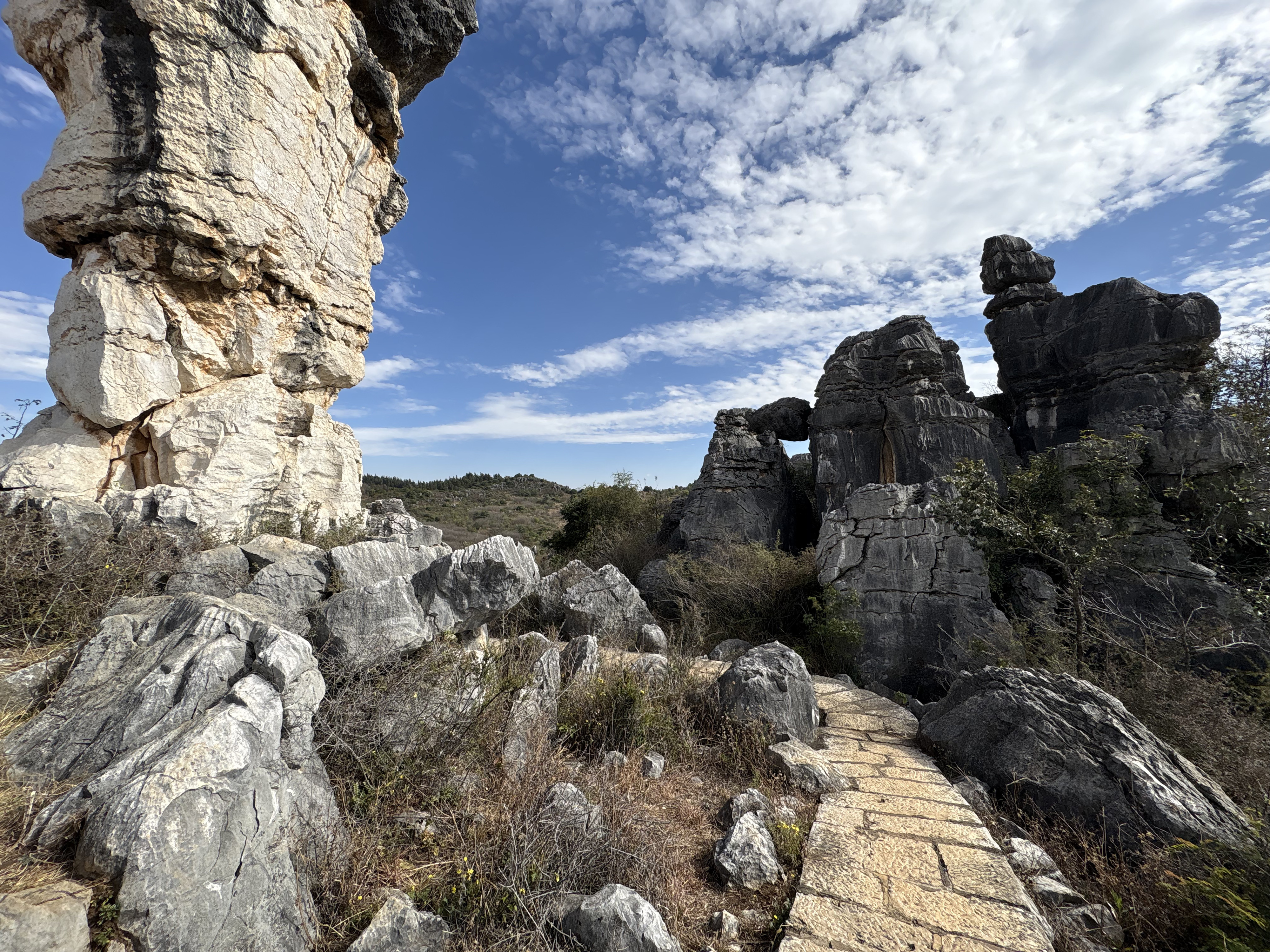 Picture China Shilin Stone Forest 2026-01 338 - Discovery Shilin Stone Forest