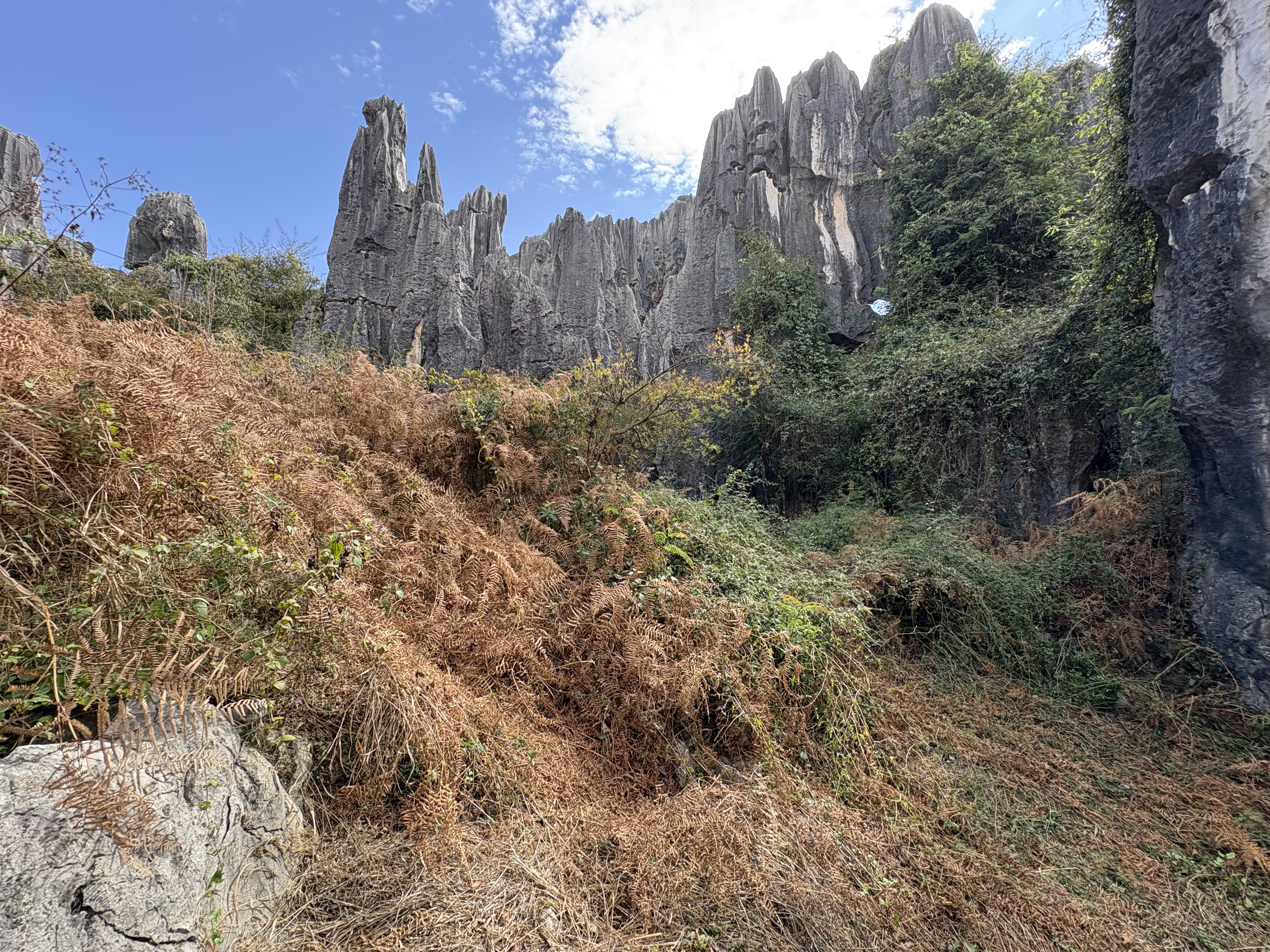Picture China Shilin Stone Forest 2026-01 240 - Around Shilin Stone Forest