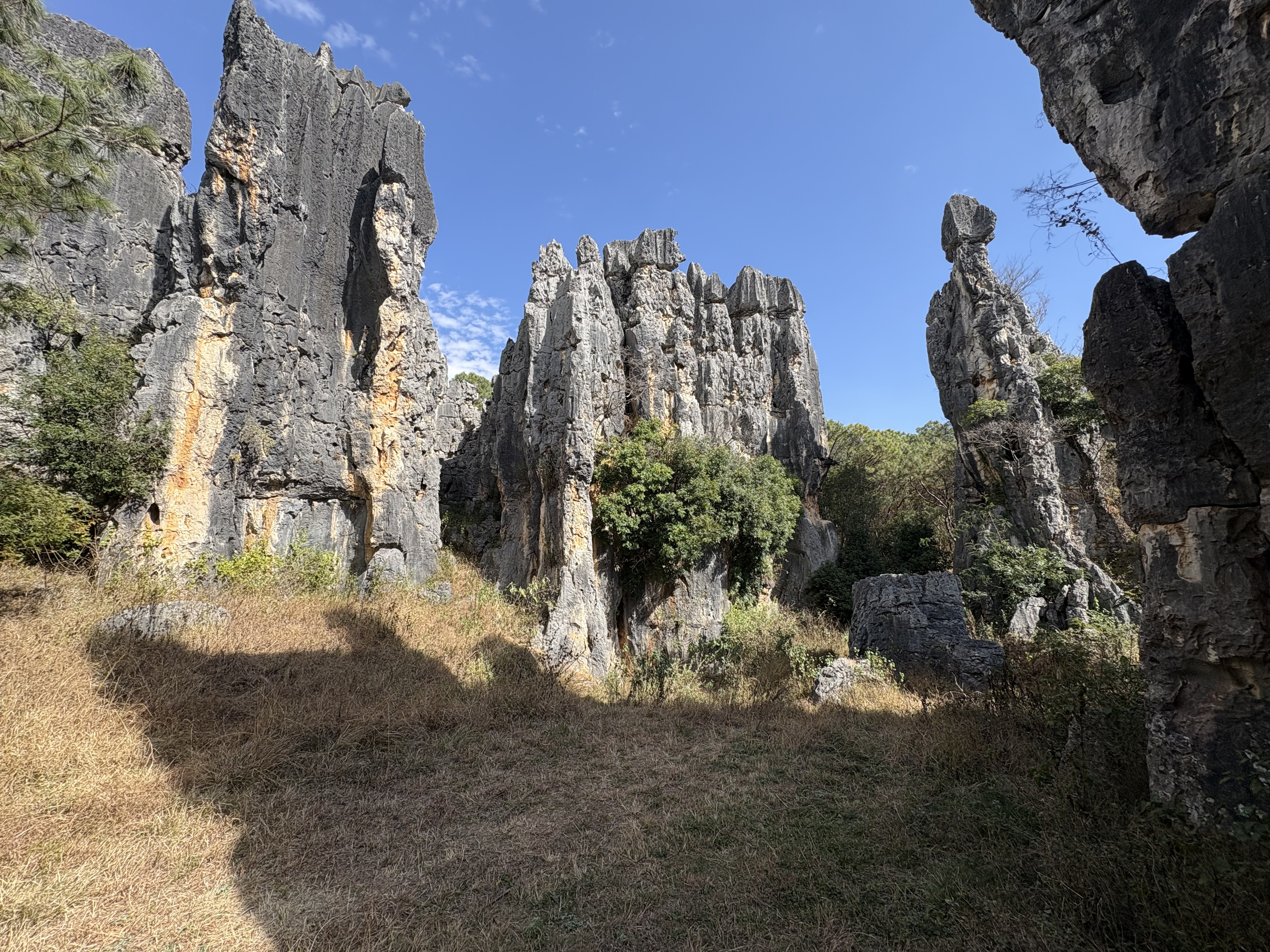 Picture China Shilin Stone Forest 2026-01 31 - Journey Shilin Stone Forest