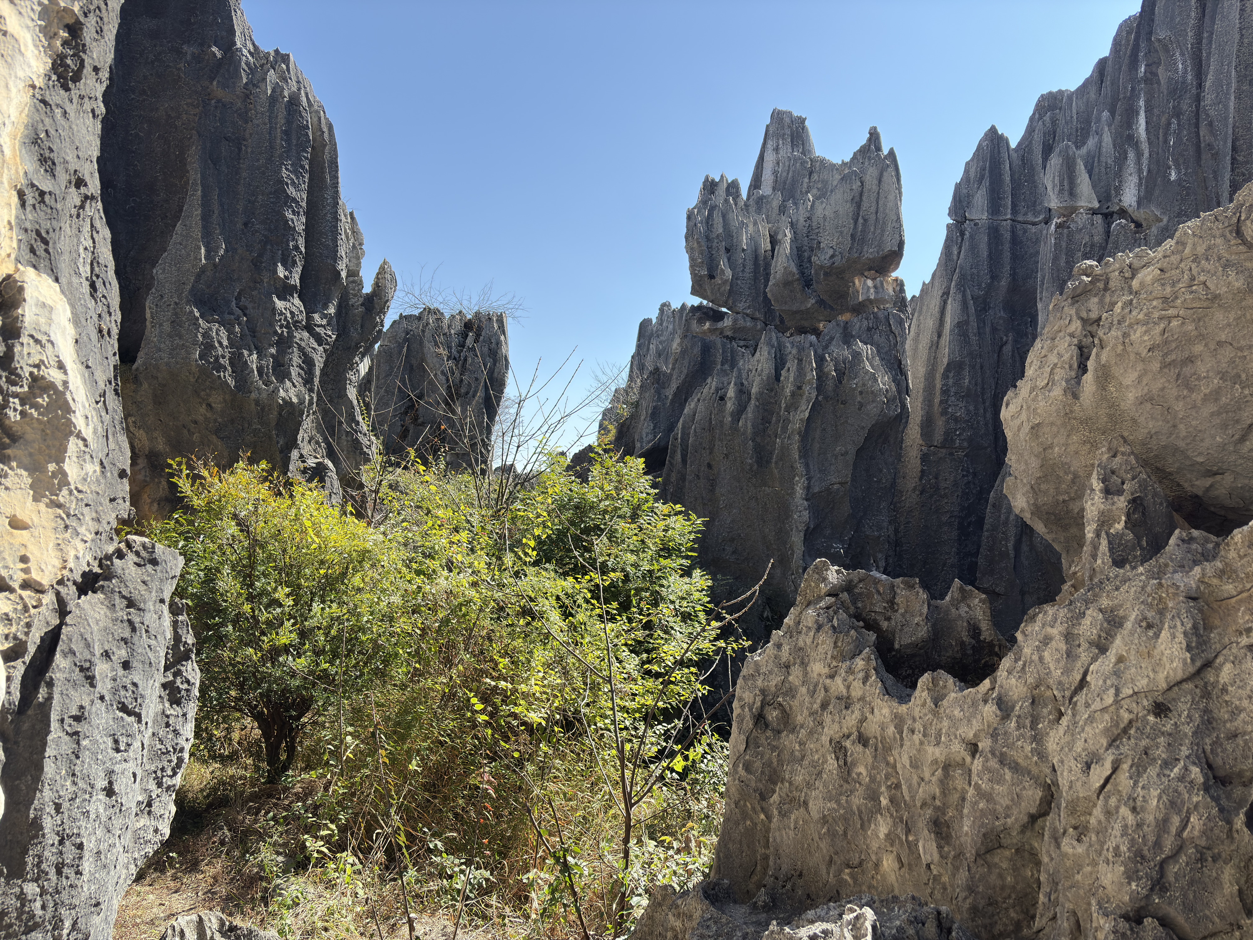 Picture China Shilin Stone Forest 2026-01 35 - Tour Shilin Stone Forest