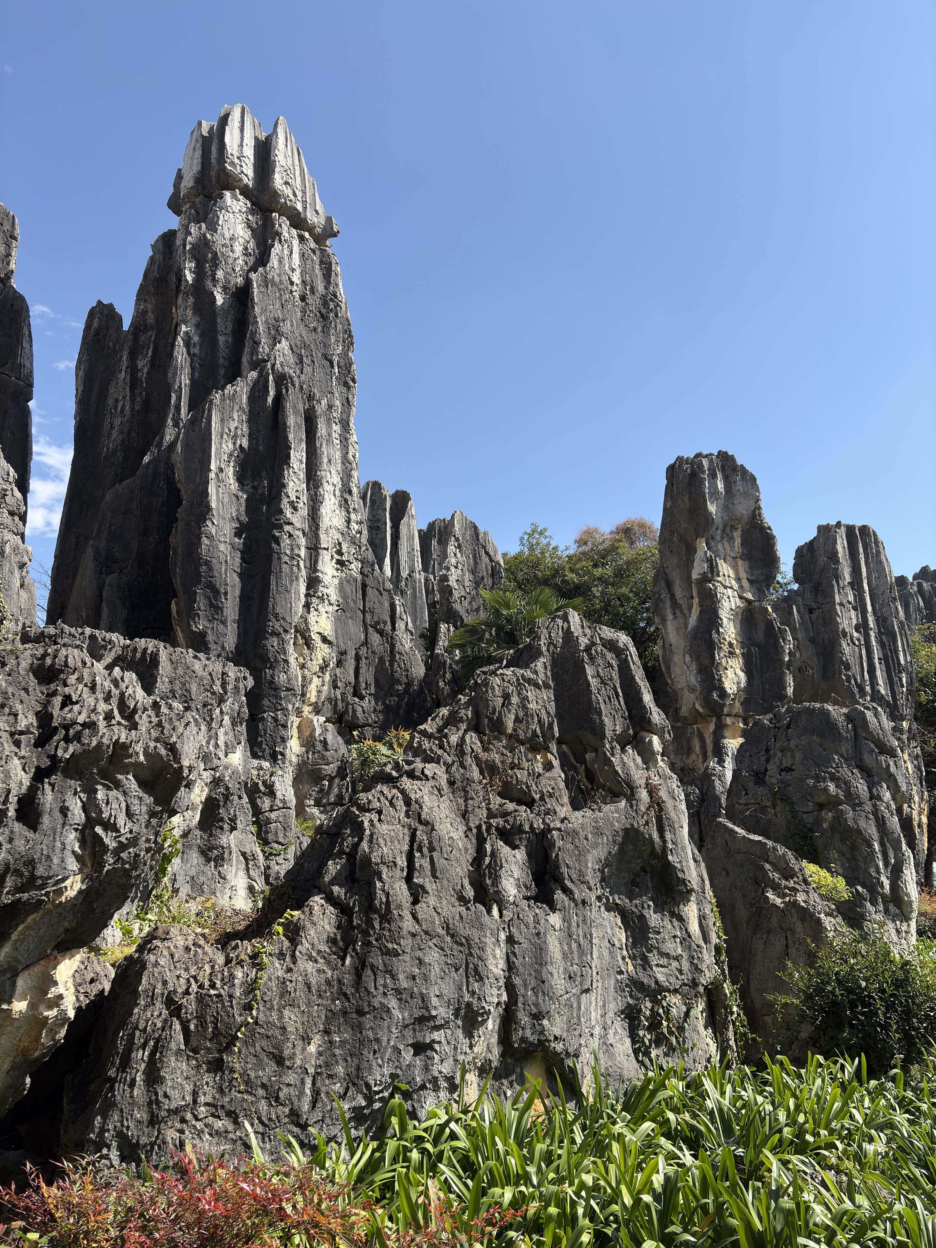 Picture China Shilin Stone Forest 2026-01 117 - Tours Shilin Stone Forest