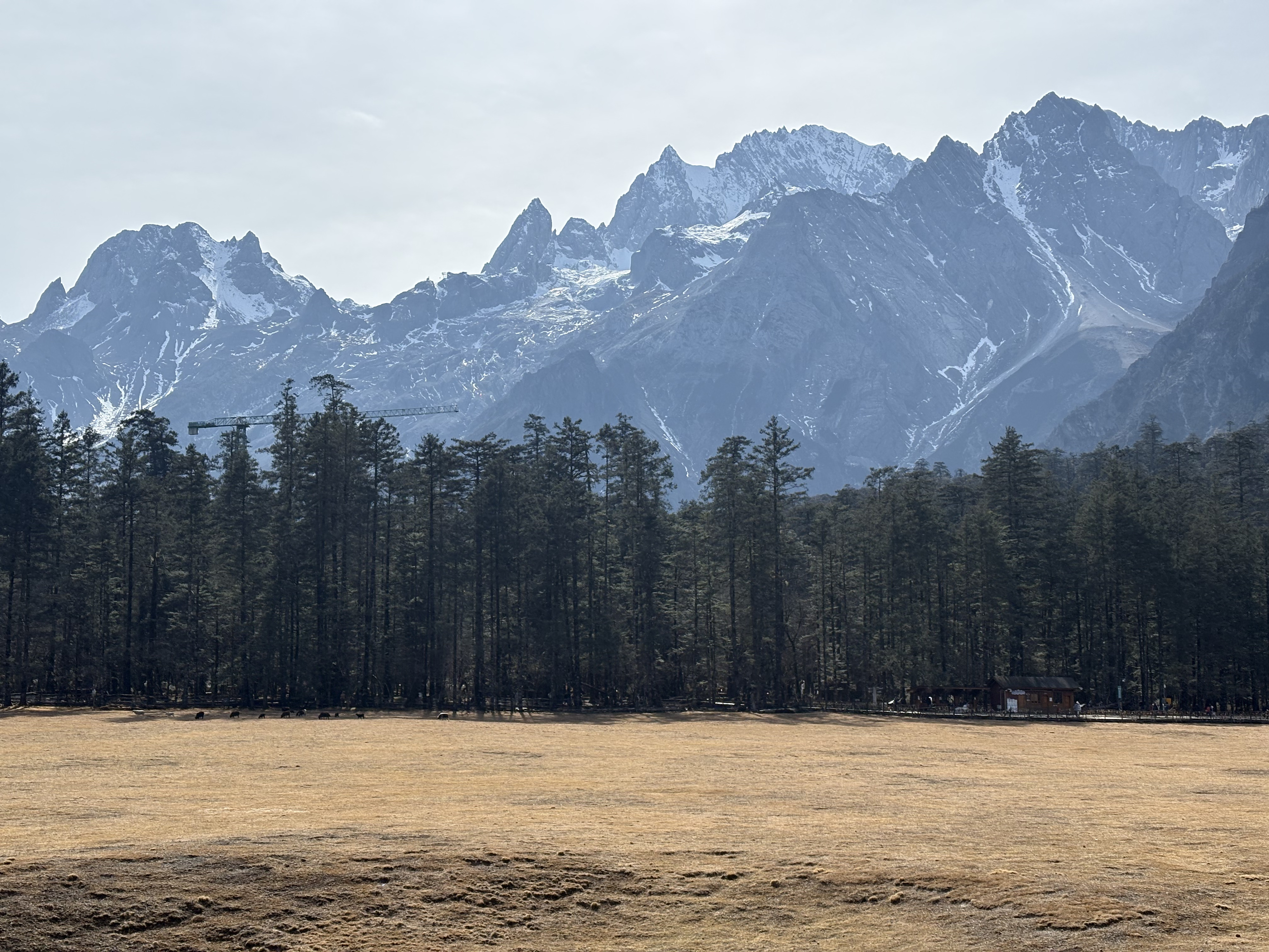 Picture China Lijiang Blue moon valley 2026-01 125 - Tours Blue moon valley