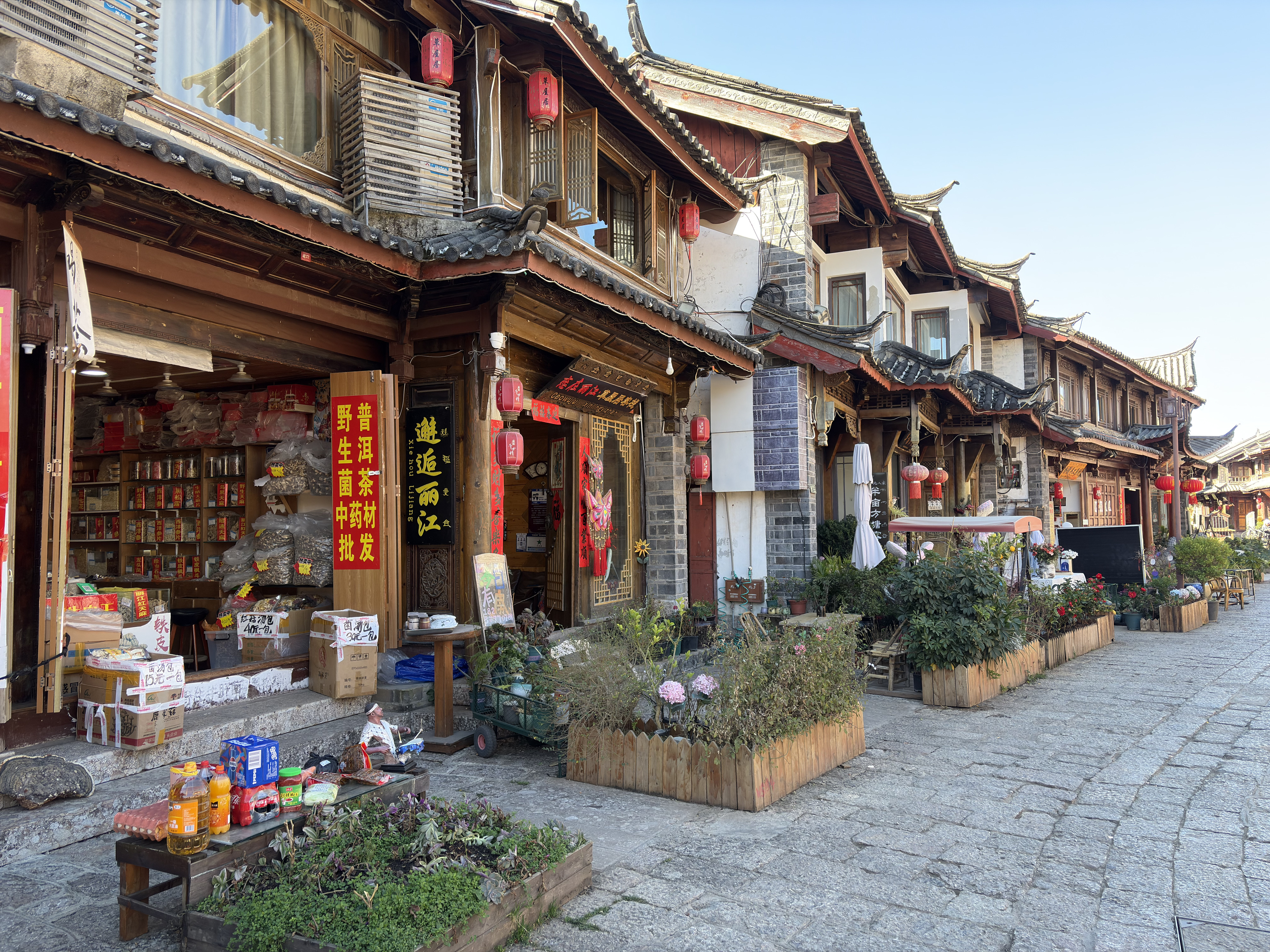 Picture China Lijiang 2026-01 594 - History Lijiang