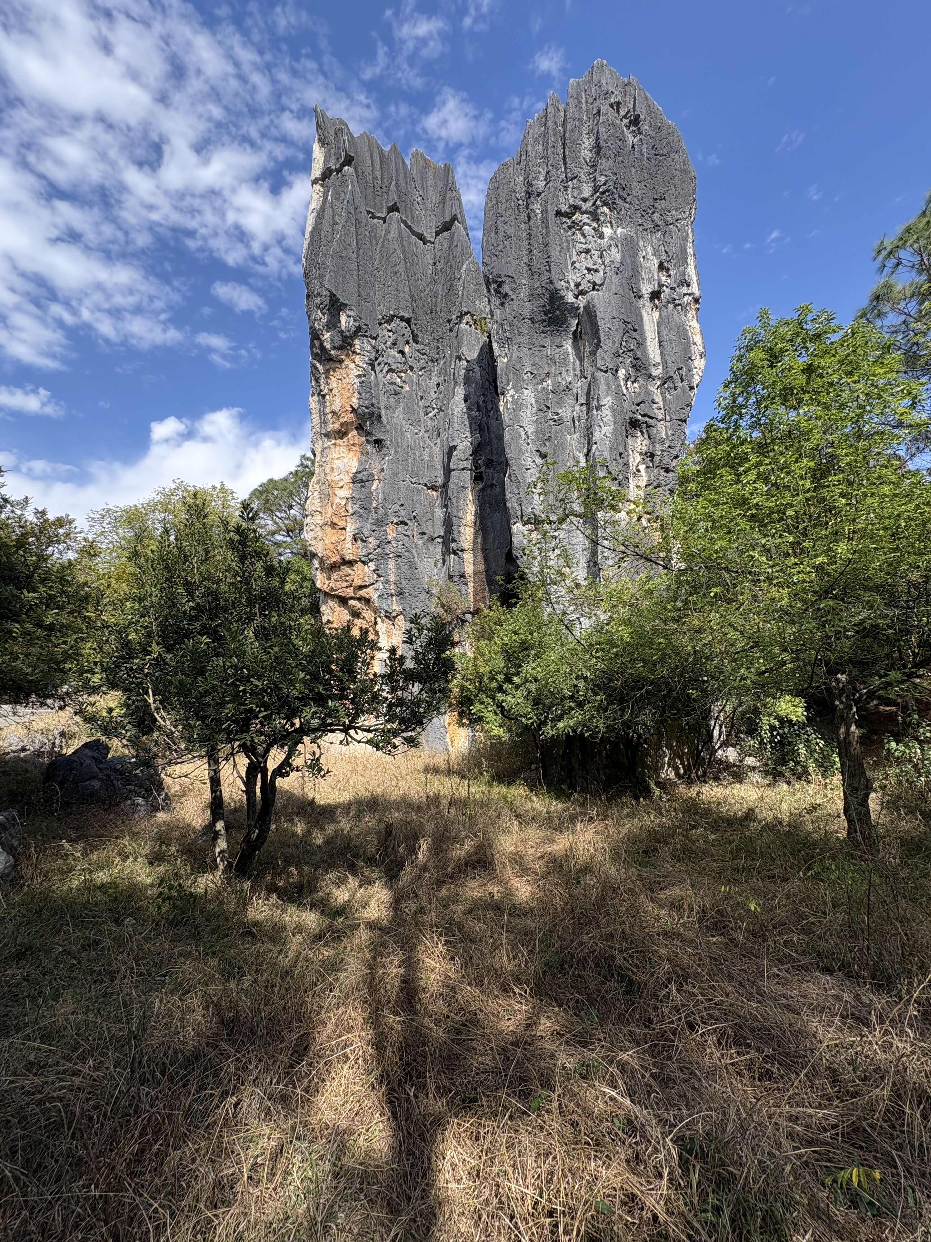 Picture China Shilin Stone Forest 2026-01 357 - History Shilin Stone Forest