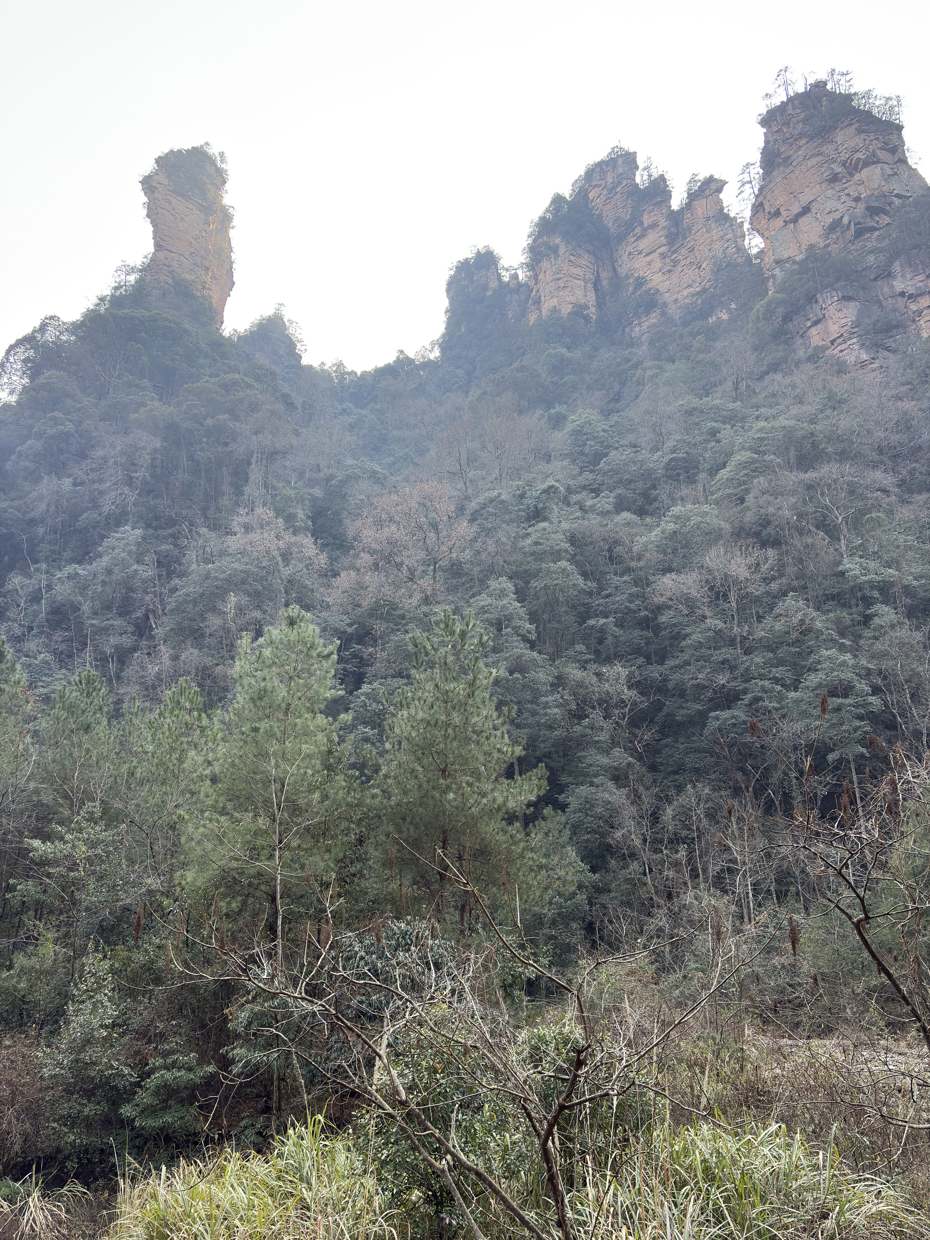 Picture China Zhangjiajie Tianzi Mountrain 2026-01 260 - History Tianzi Mountrain