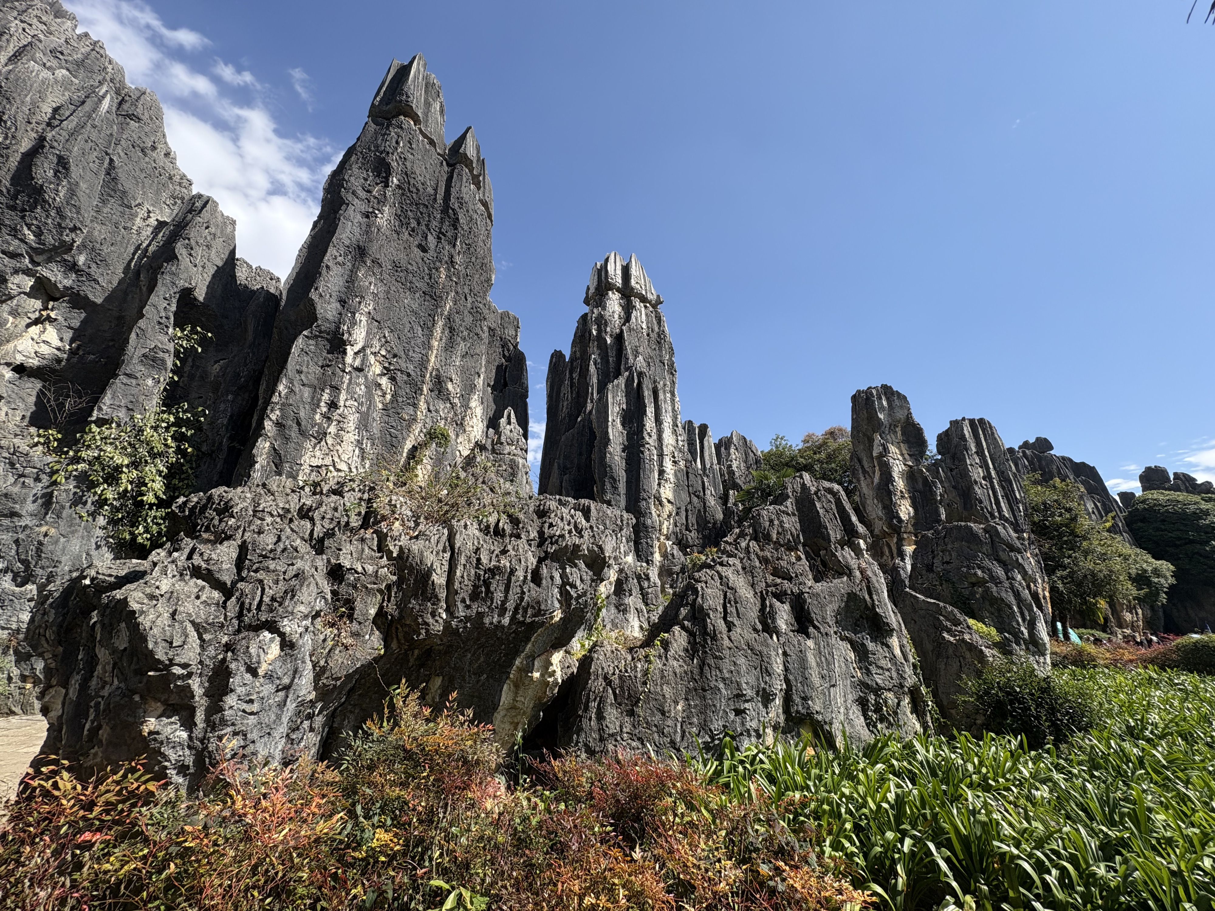 Picture China Shilin Stone Forest 2026-01 171 - Journey Shilin Stone Forest