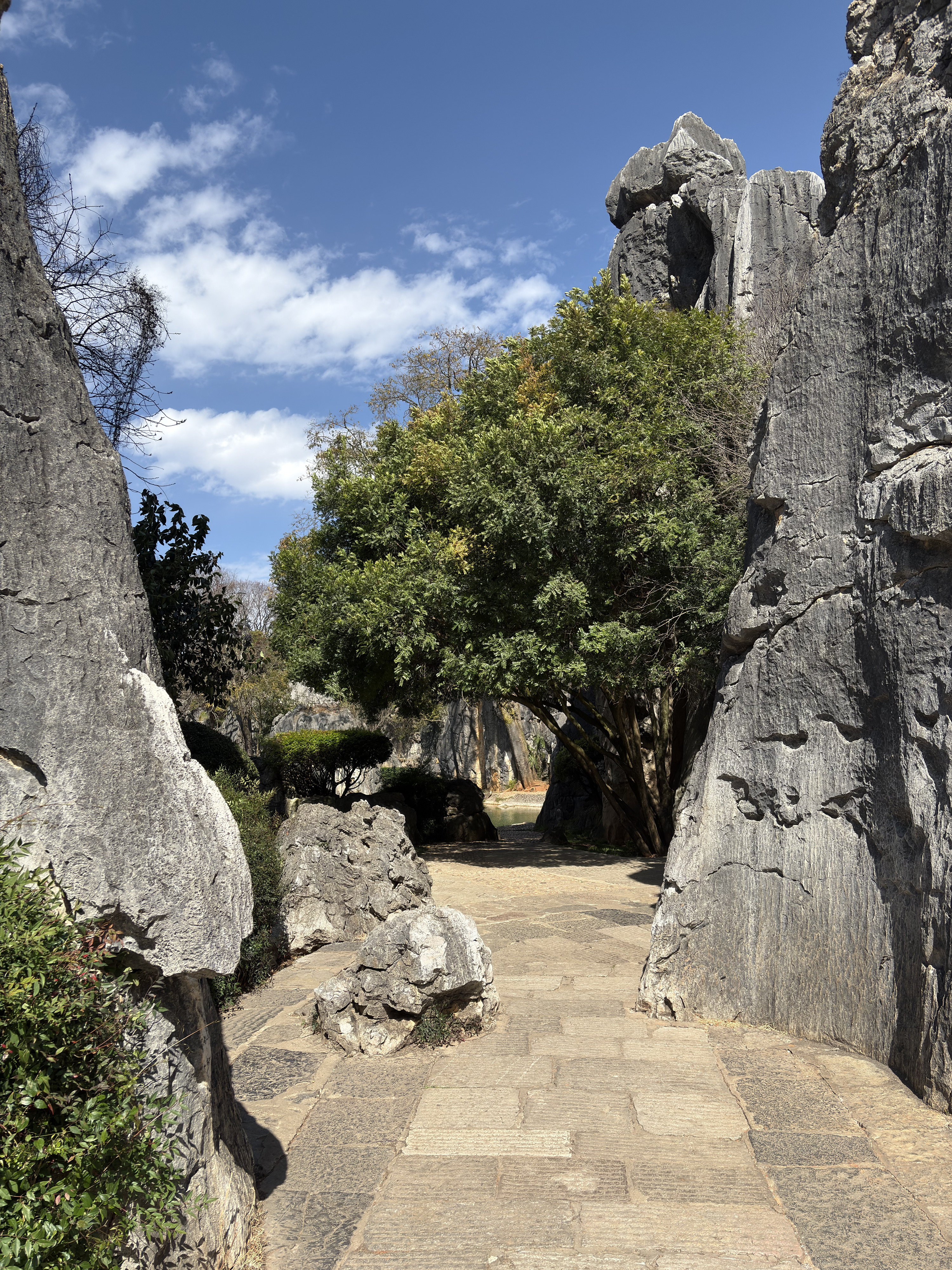 Picture China Shilin Stone Forest 2026-01 271 - Discovery Shilin Stone Forest