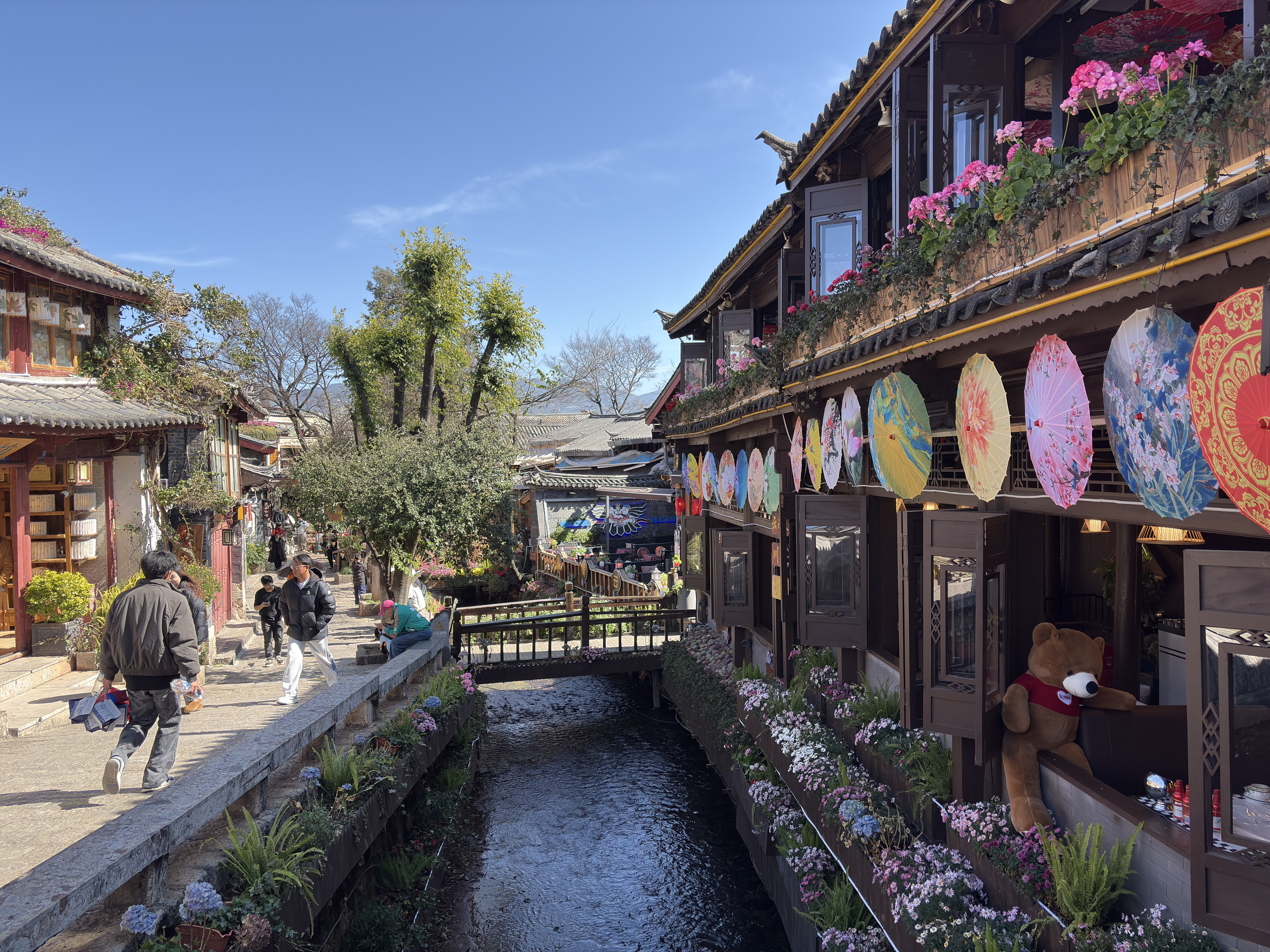 Picture China Lijiang 2026-01 440 - Tour Lijiang