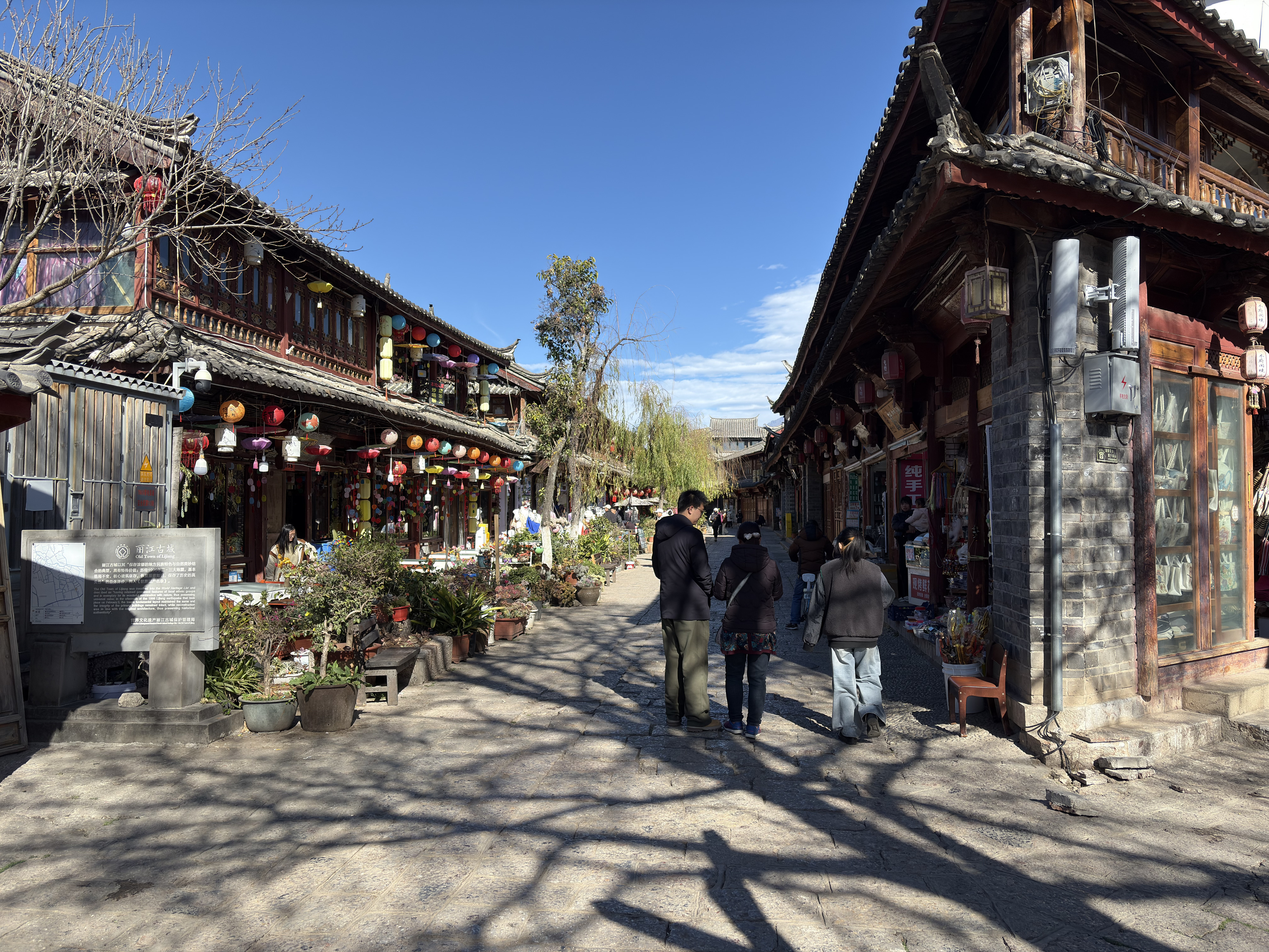 Picture China Lijiang 2026-01 858 - Center Lijiang
