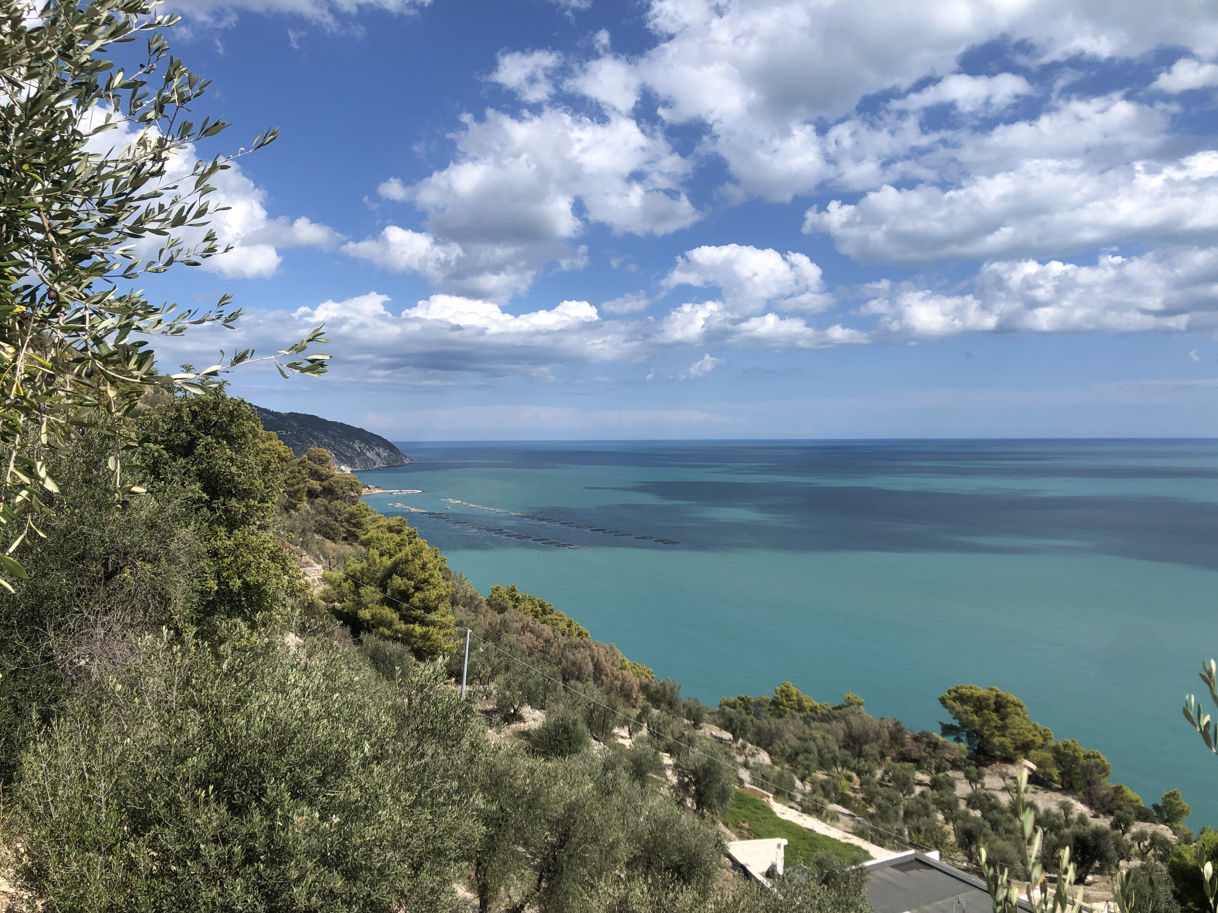 Picture Italy Gargano 2024-09 67 - Tour Gargano