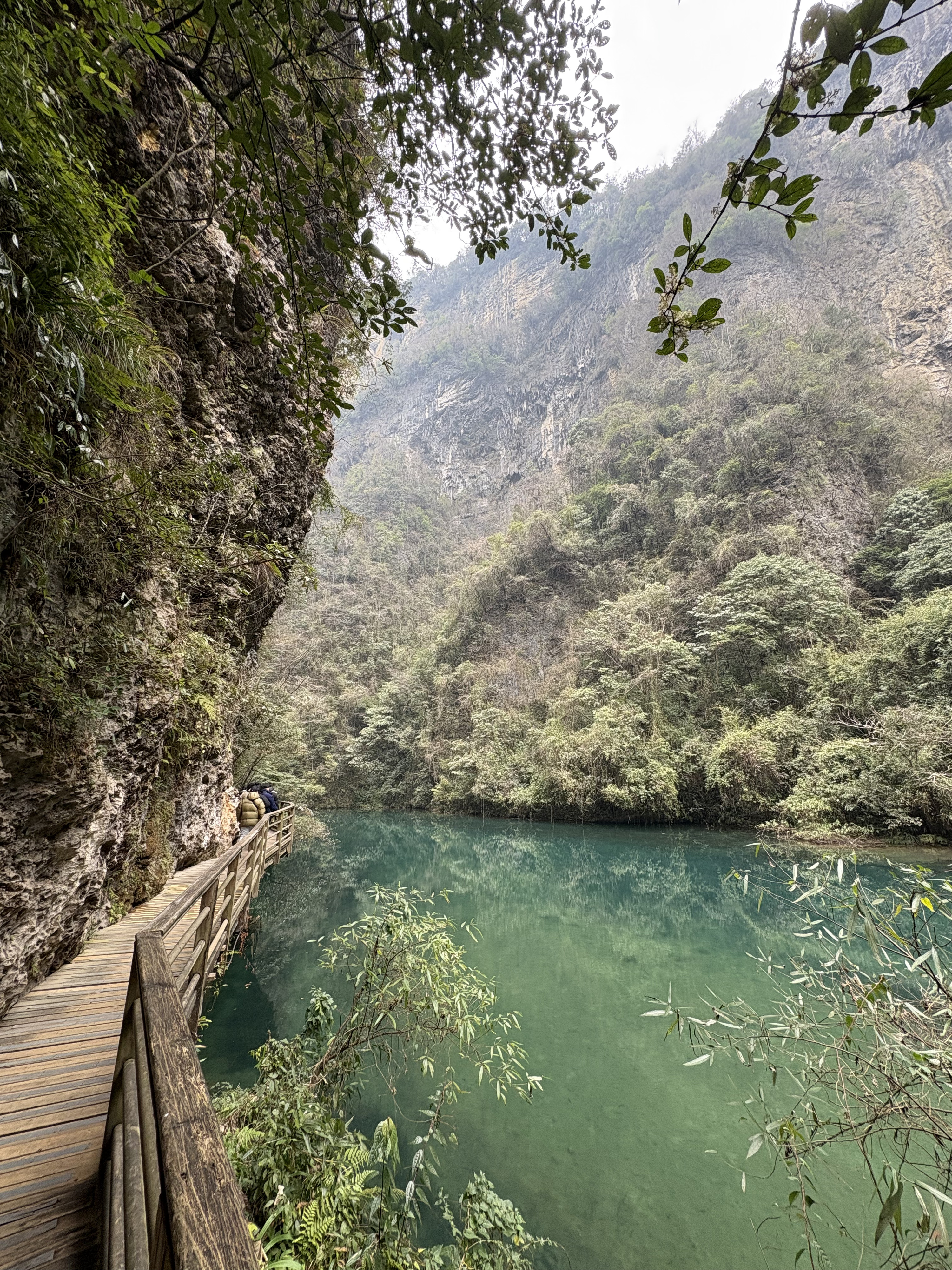 Picture China Zhangjiajie Grand Canion 2026-01 58 - Discovery Grand Canion