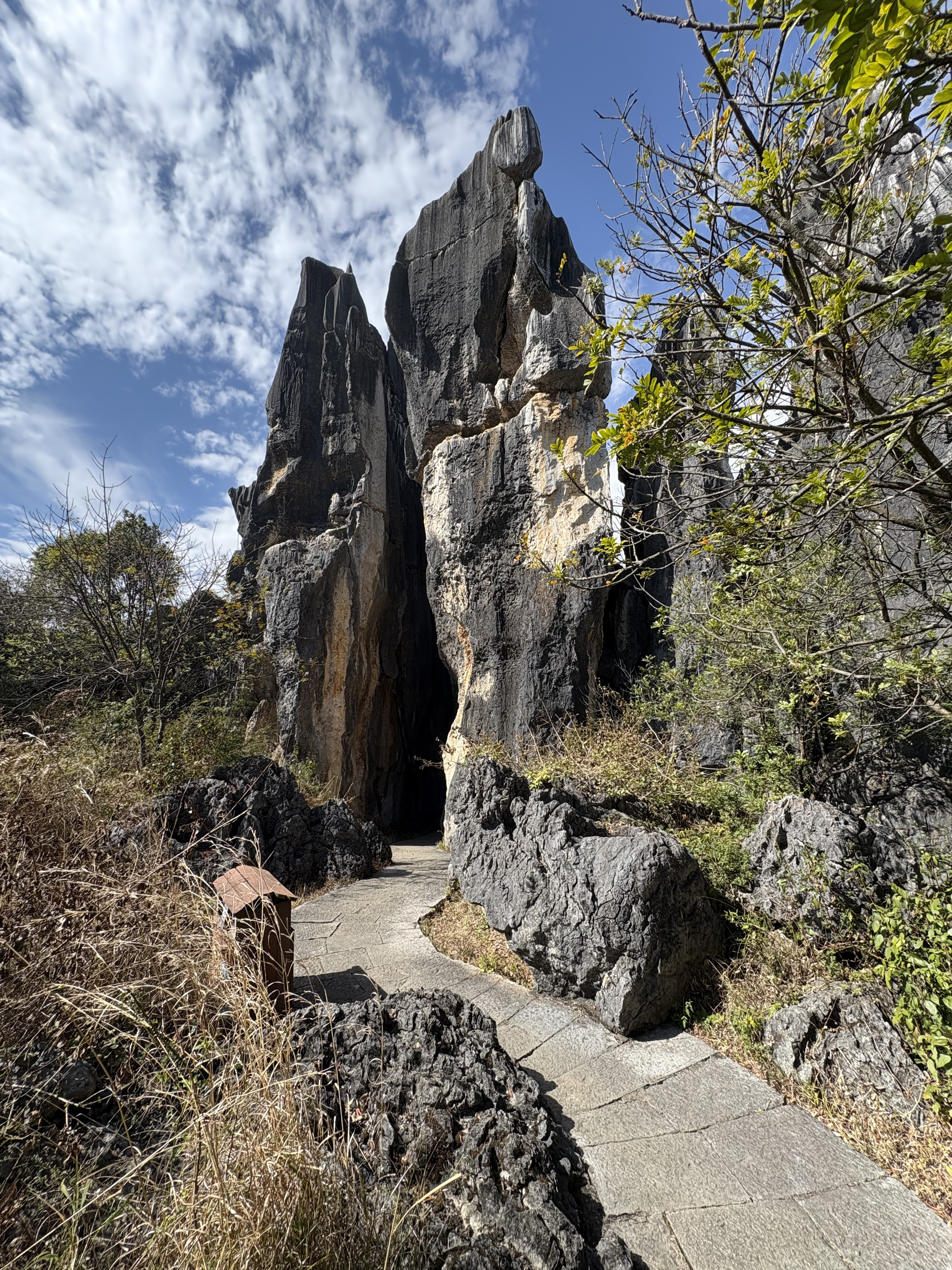 Picture China Shilin Stone Forest 2026-01 284 - Around Shilin Stone Forest