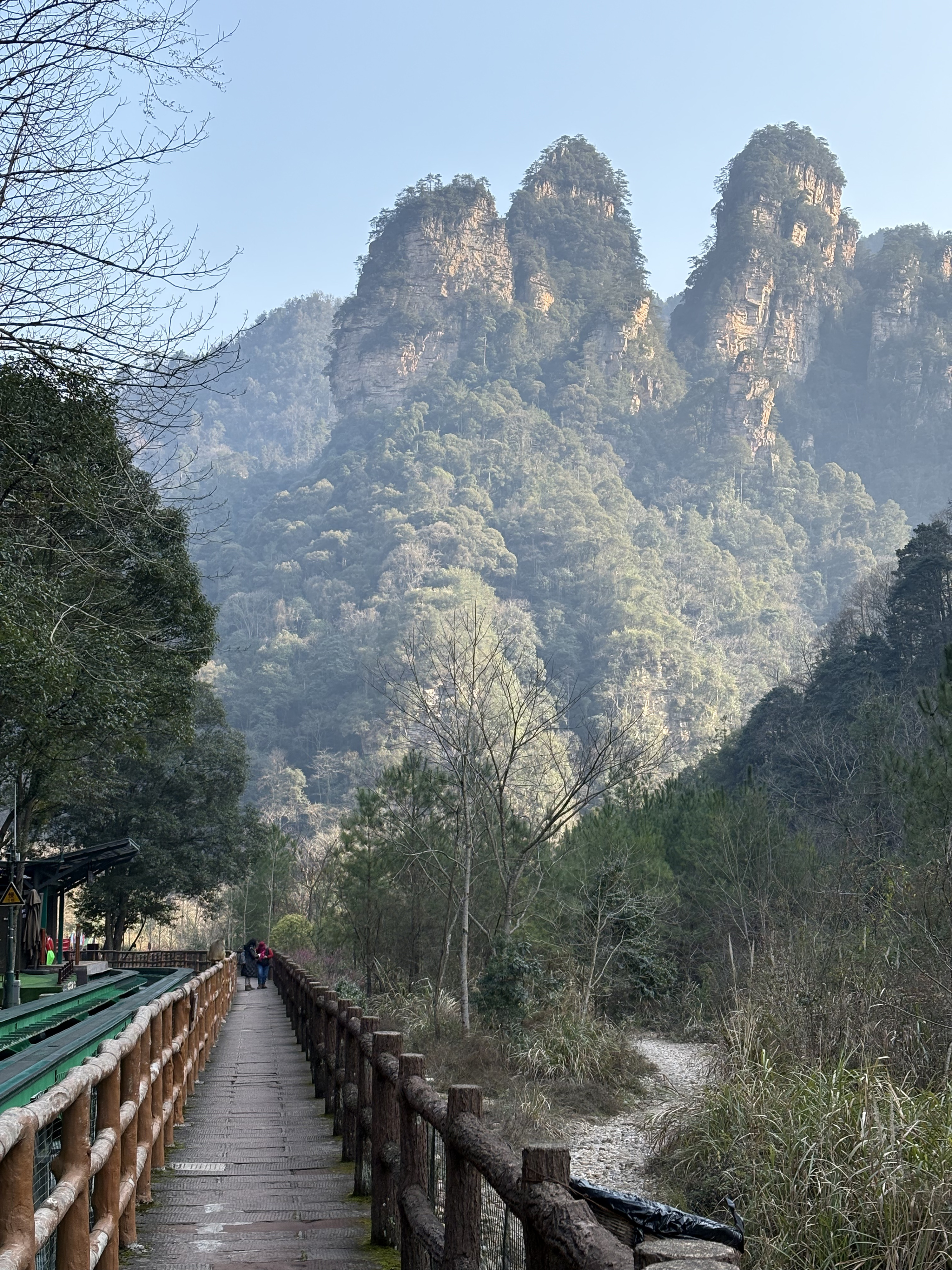 Picture China Zhangjiajie Tianzi Mountrain 2026-01 344 - Center Tianzi Mountrain