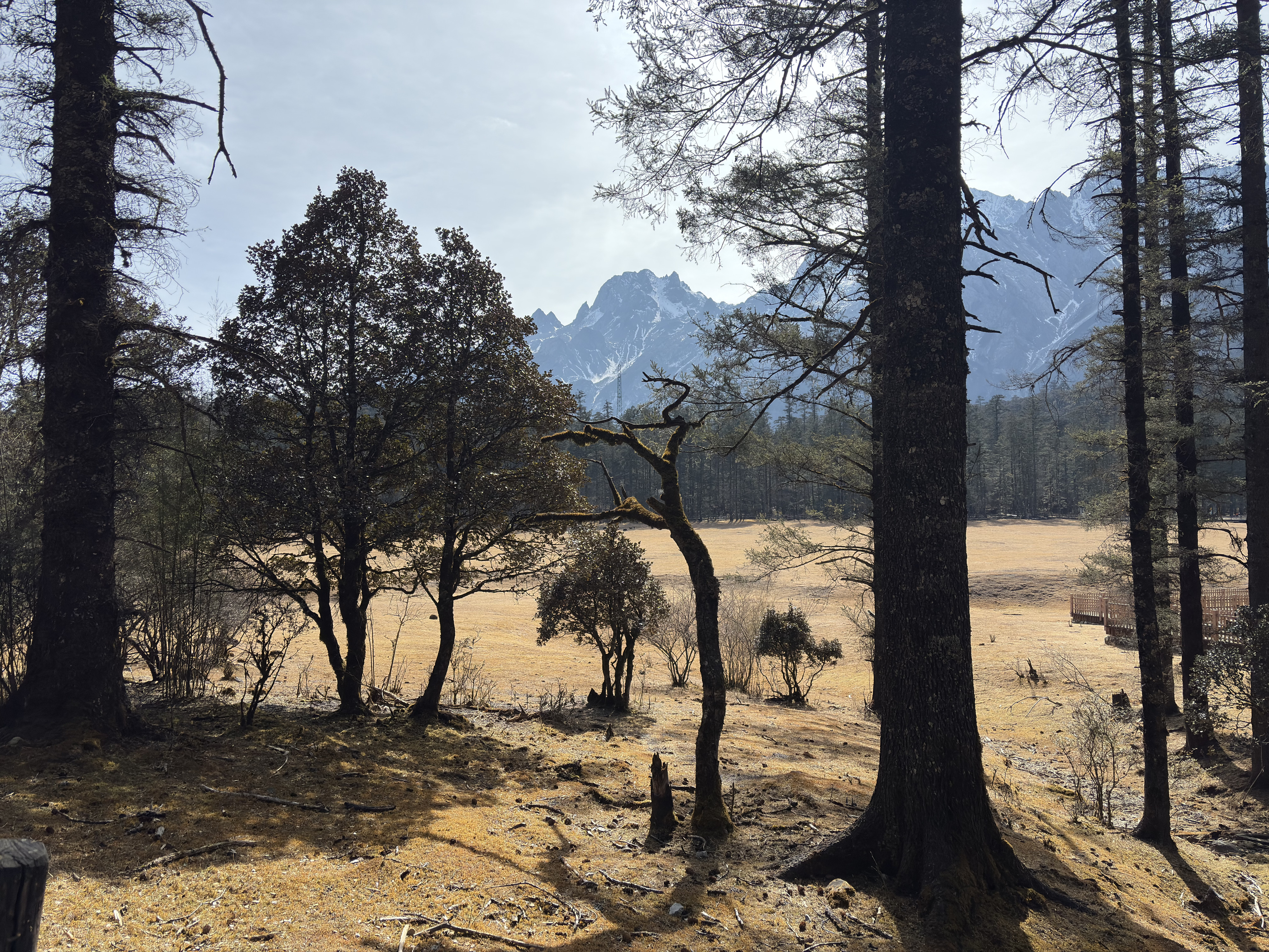 Picture China Lijiang Blue moon valley 2026-01 139 - Tours Blue moon valley