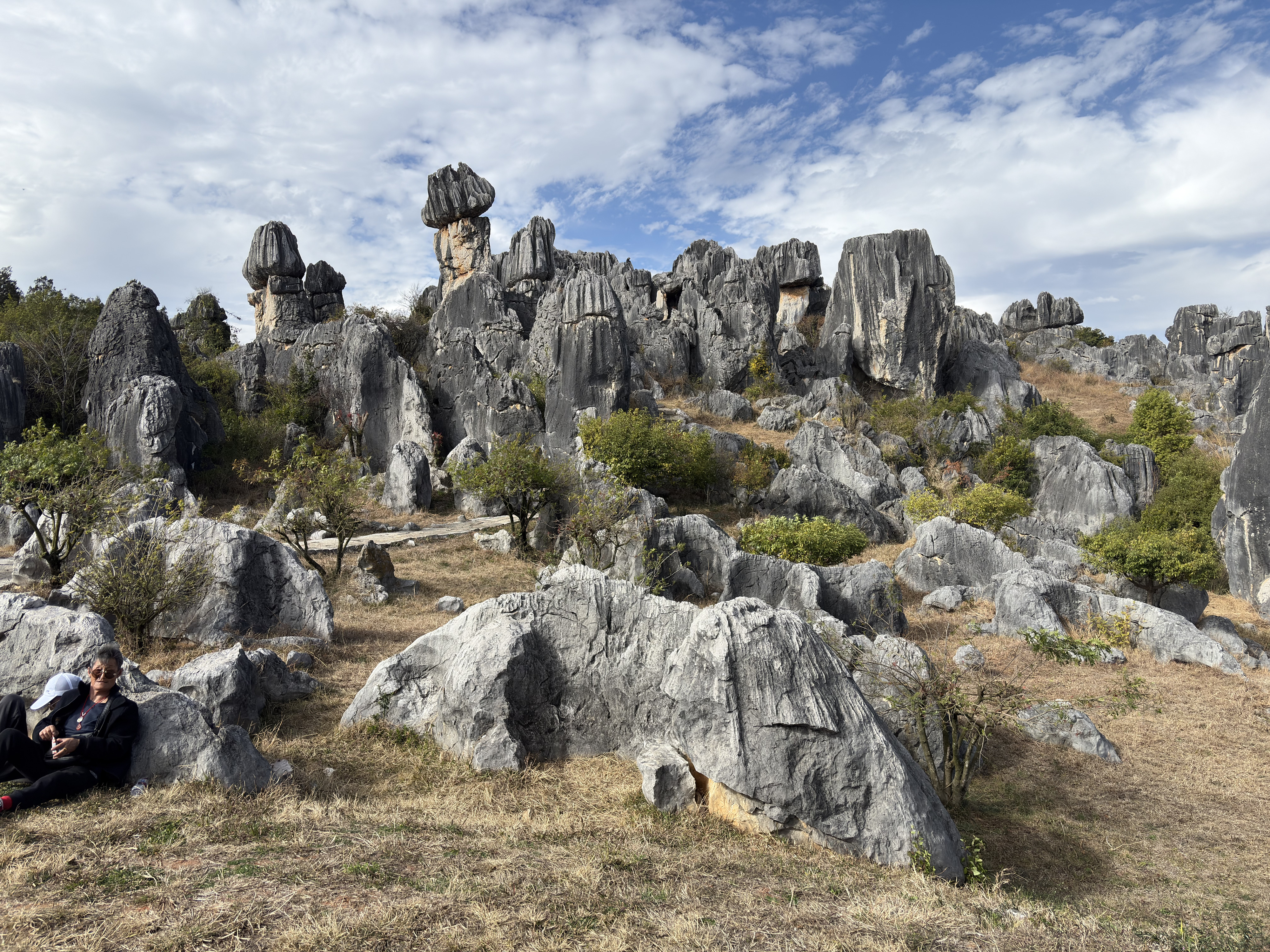 Picture China Shilin Stone Forest 2026-01 153 - Journey Shilin Stone Forest