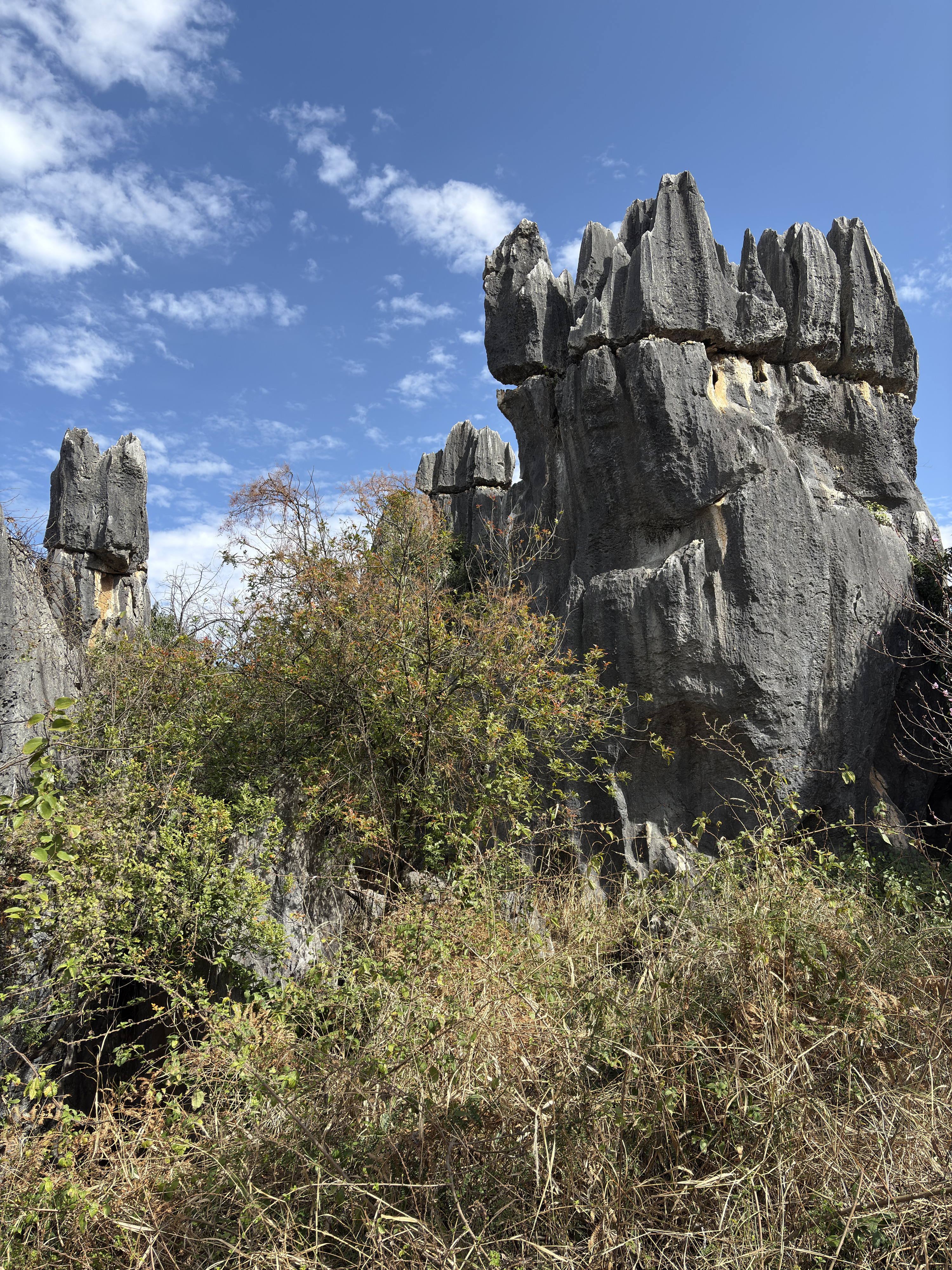Picture China Shilin Stone Forest 2026-01 320 - Journey Shilin Stone Forest