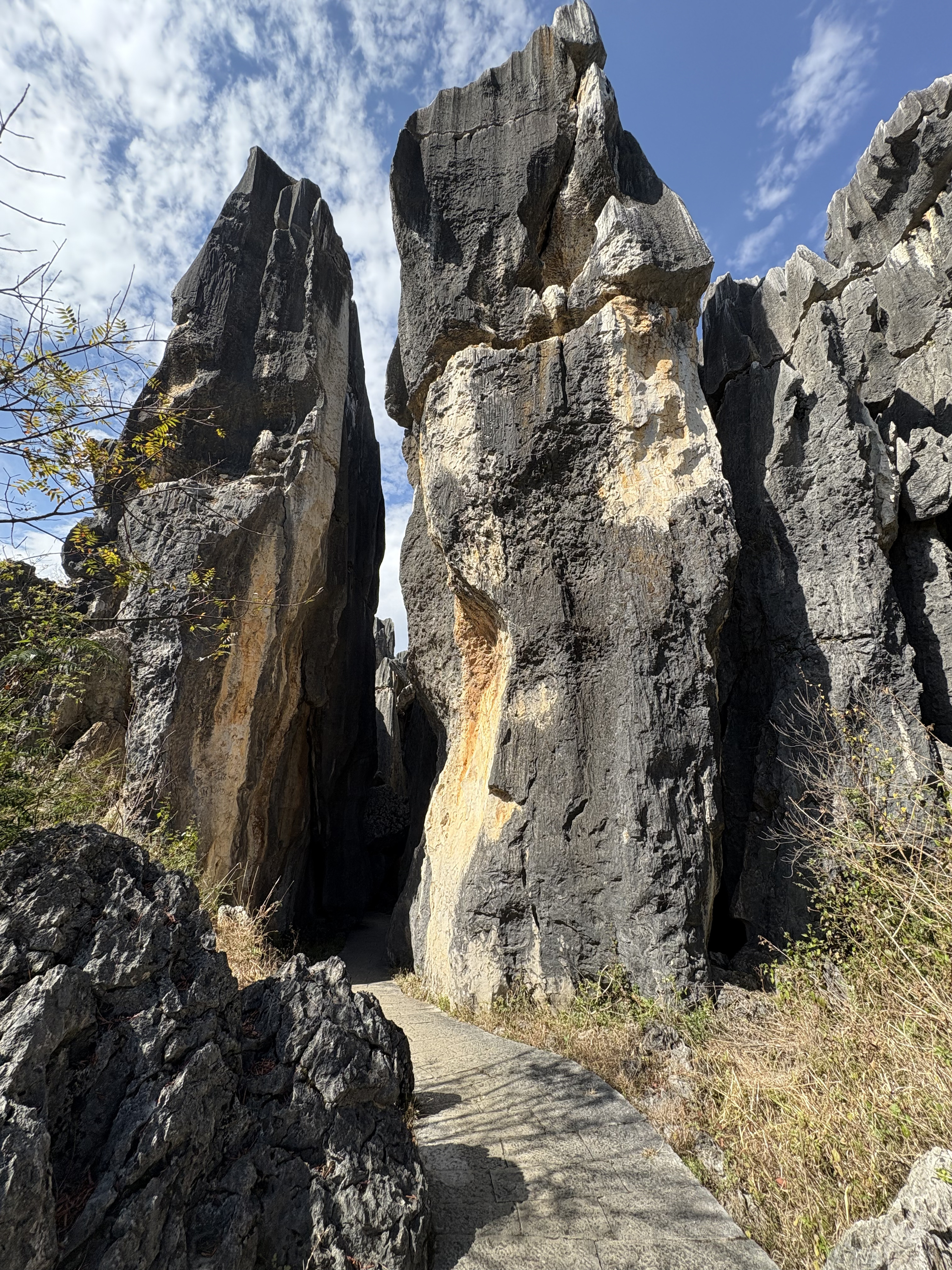 Picture China Shilin Stone Forest 2026-01 216 - Tour Shilin Stone Forest