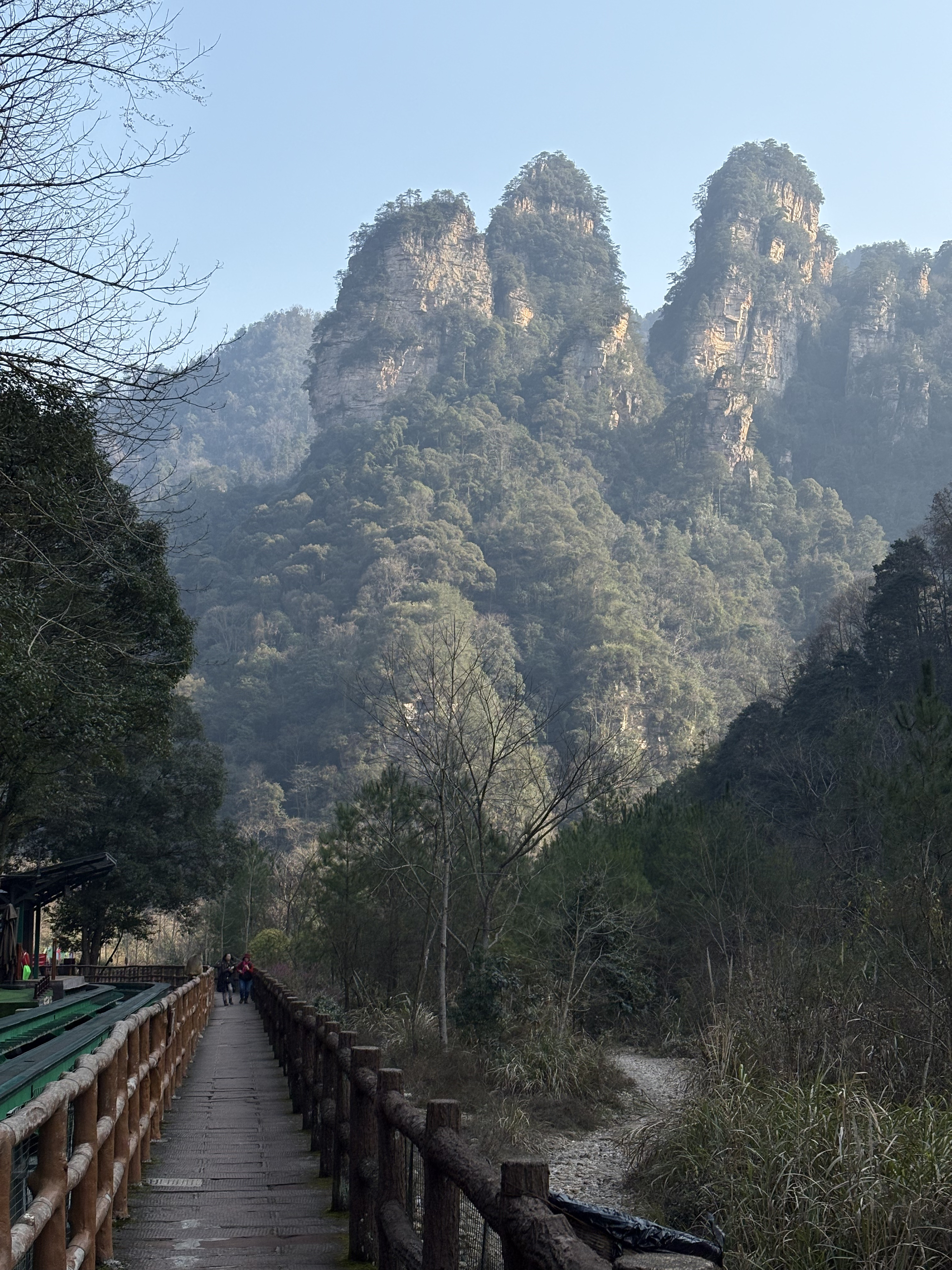 Picture China Zhangjiajie Tianzi Mountrain 2026-01 96 - Tour Tianzi Mountrain
