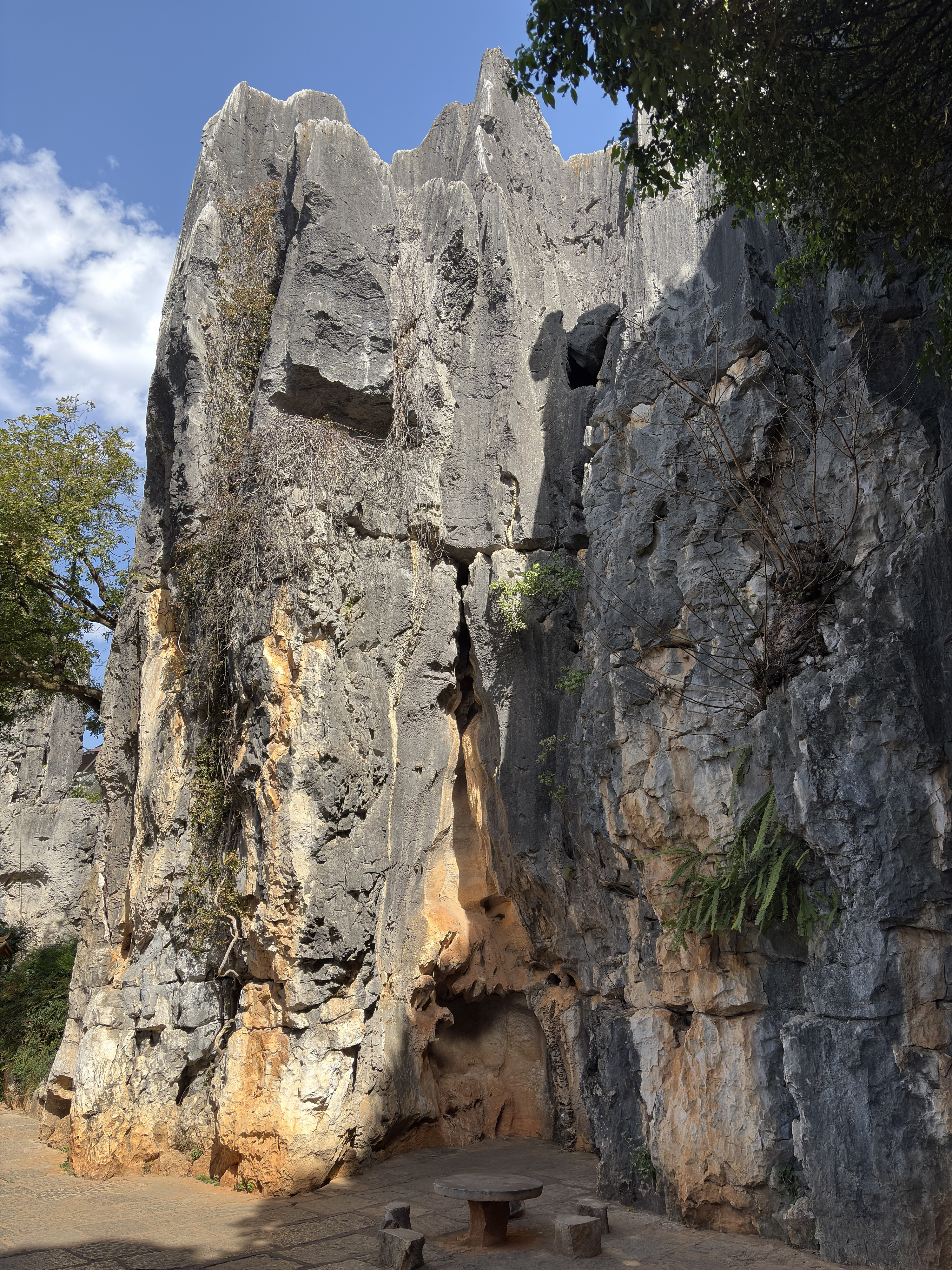 Picture China Shilin Stone Forest 2026-01 327 - Journey Shilin Stone Forest