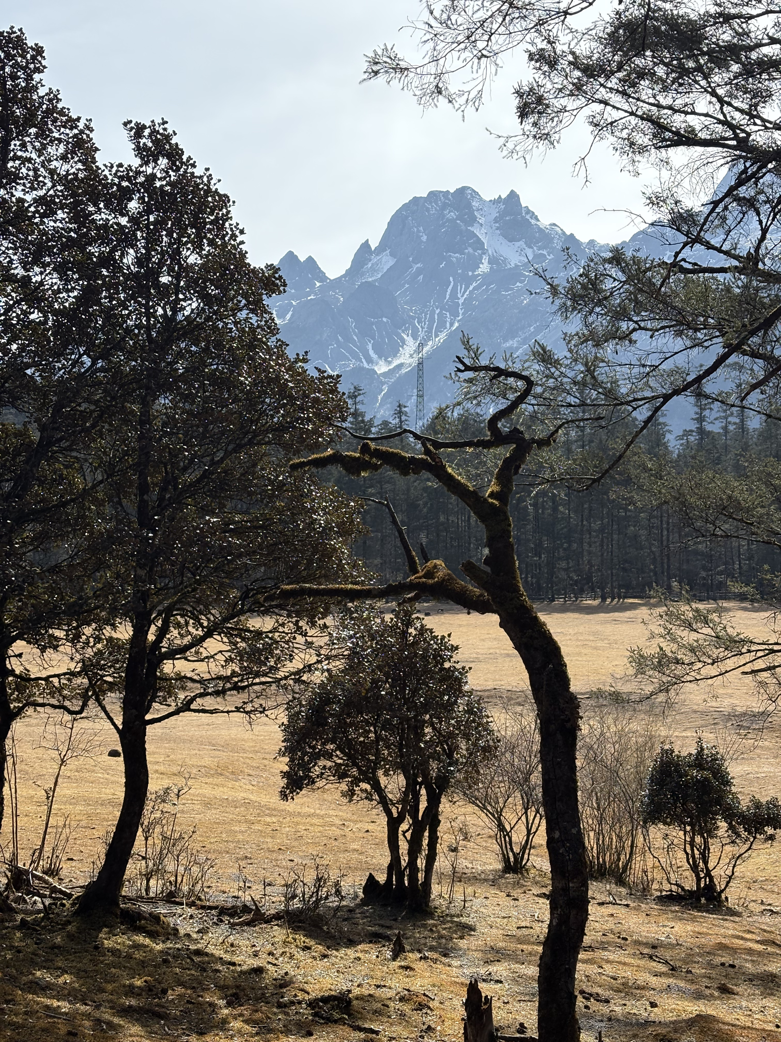 Picture China Lijiang Blue moon valley 2026-01 135 - History Blue moon valley