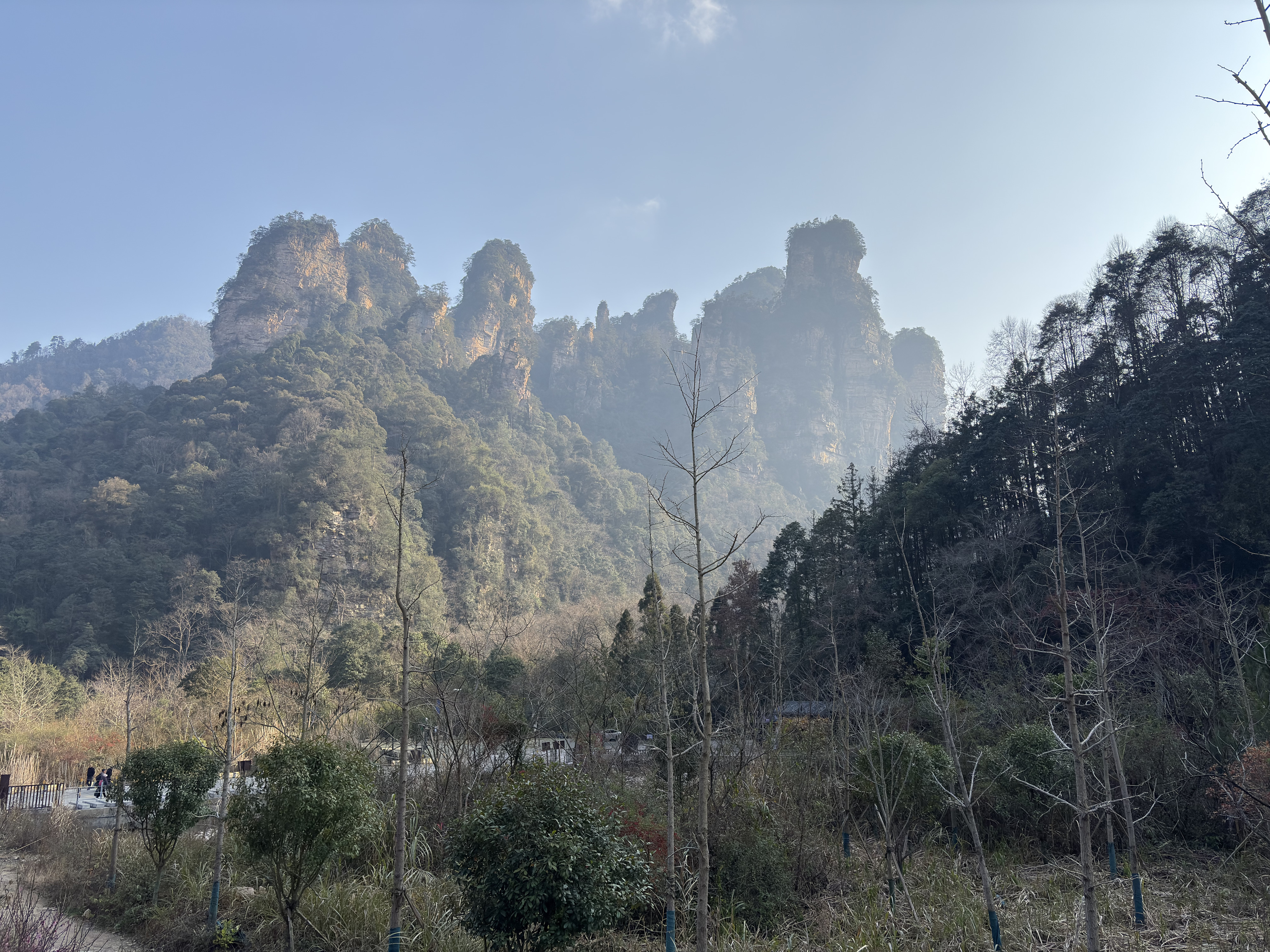 Picture China Zhangjiajie Tianzi Mountrain 2026-01 18 - Around Tianzi Mountrain