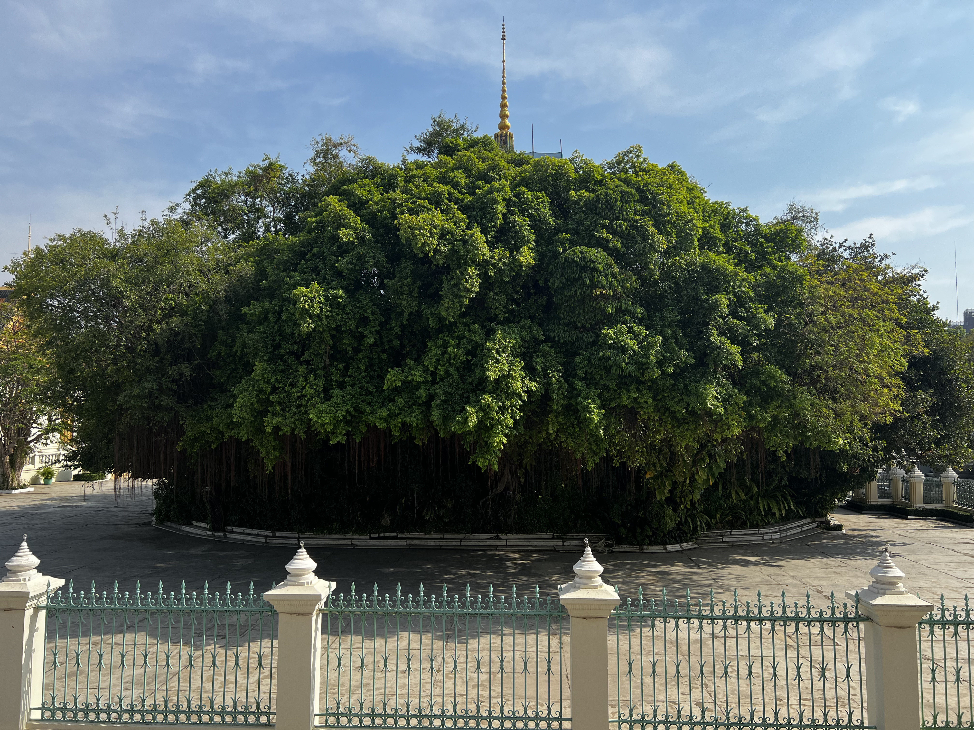 Picture Cambodia Phnom Penh Royal Palace 2024-01 66 - Tour Royal Palace