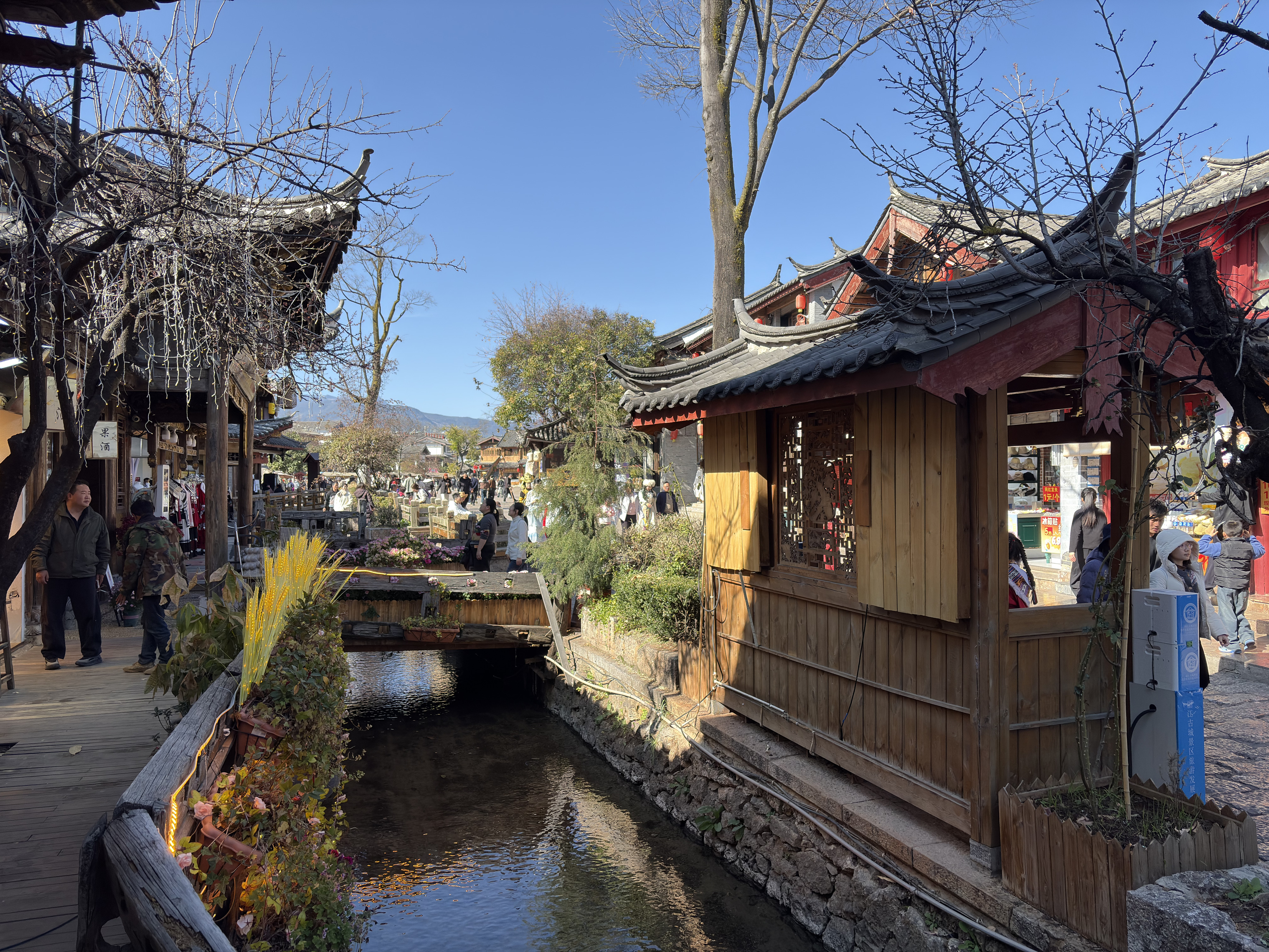 Picture China Lijiang 2026-01 465 - Discovery Lijiang