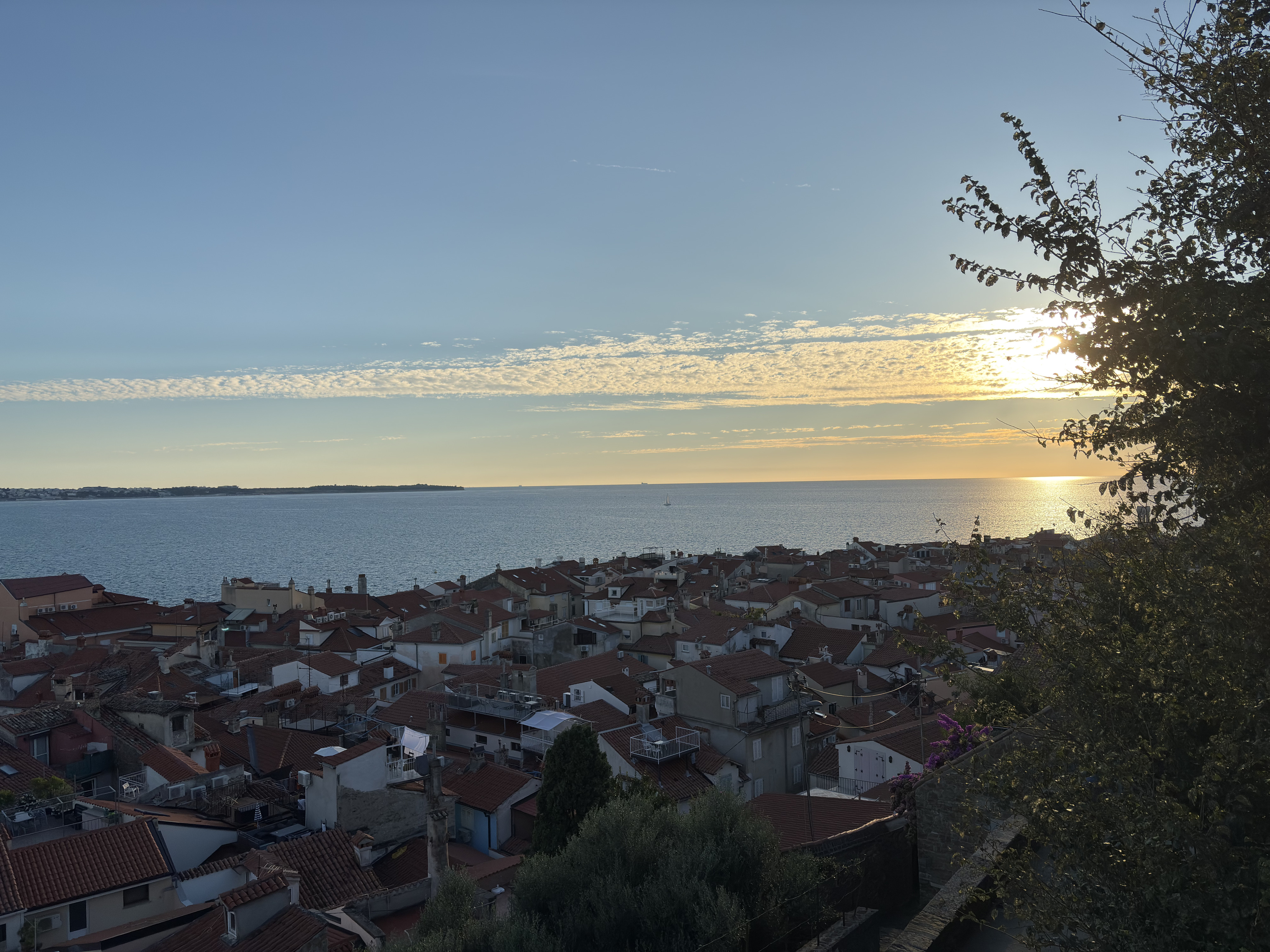 Picture Slovenia Piran 2025-09 55 - Center Piran