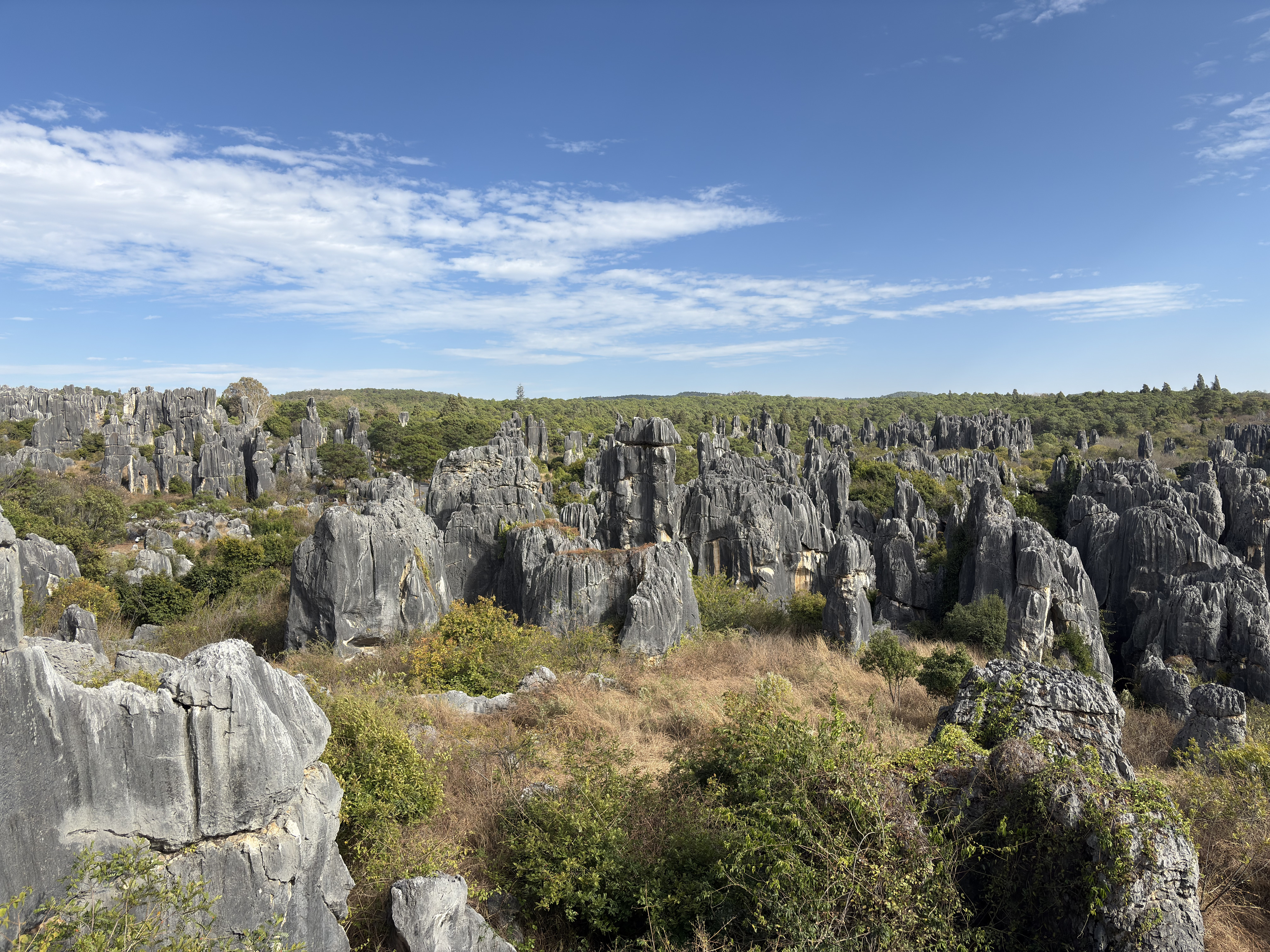 Picture China Shilin Stone Forest 2026-01 77 - Discovery Shilin Stone Forest