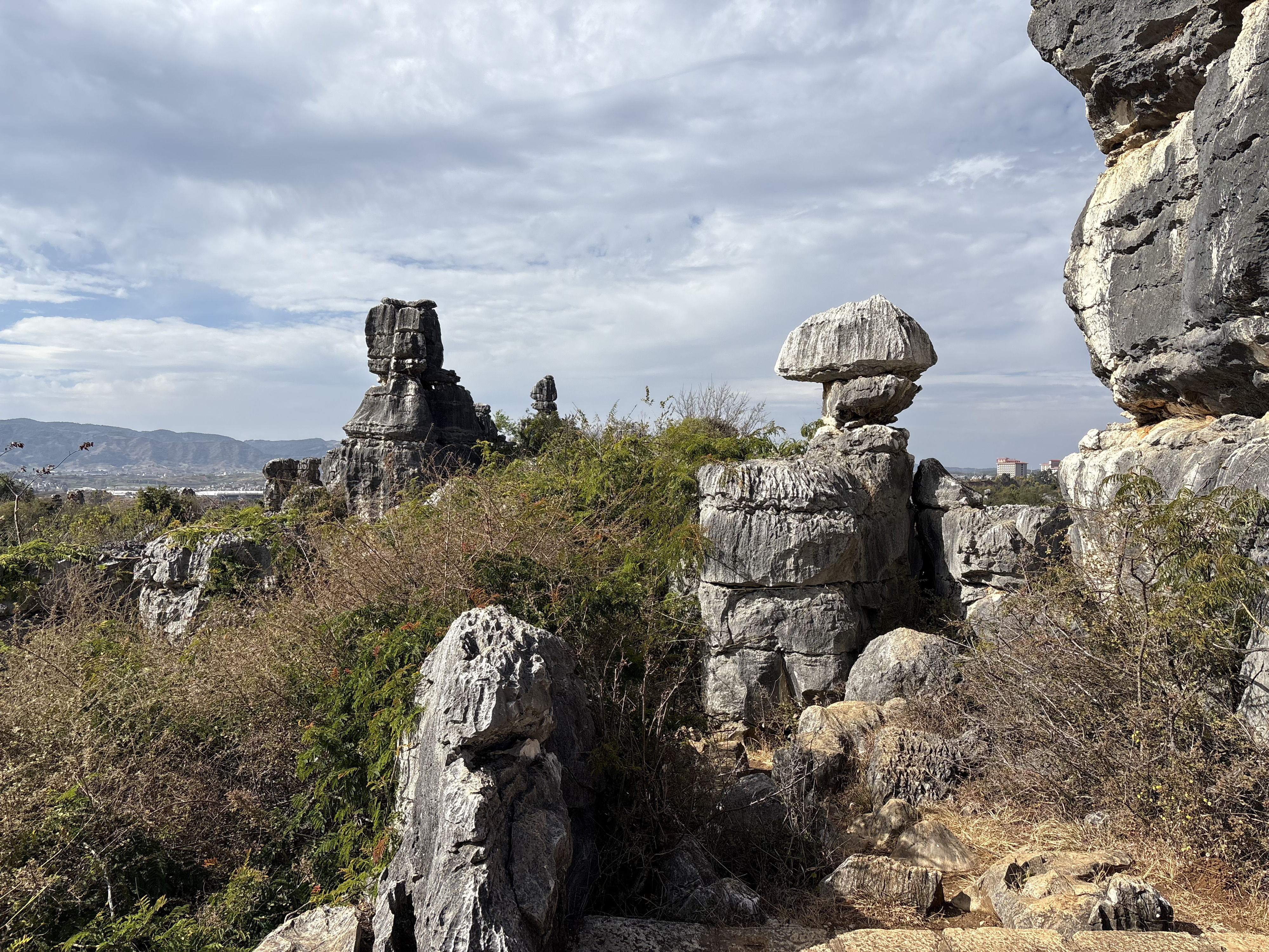 Picture China Shilin Stone Forest 2026-01 236 - Discovery Shilin Stone Forest