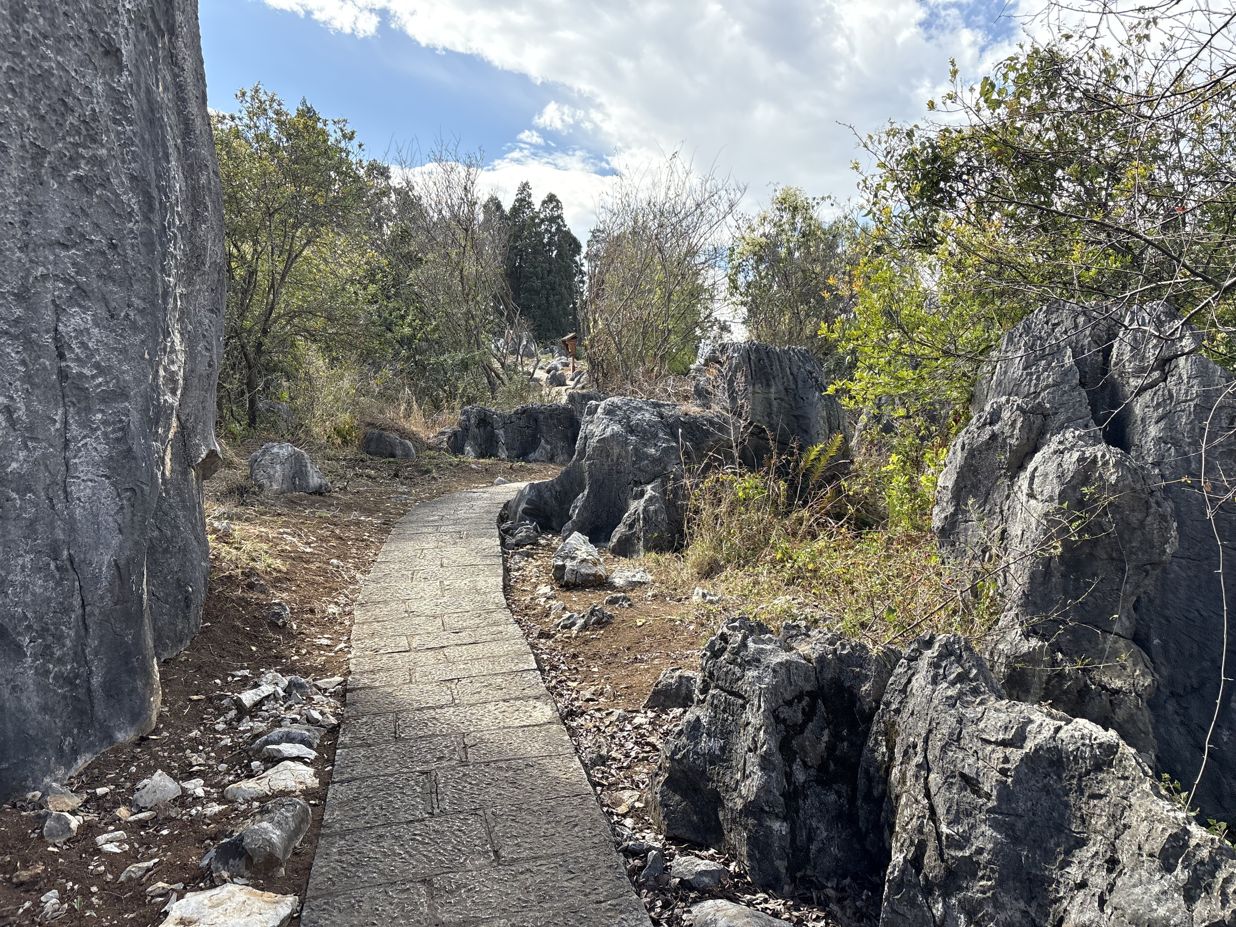 Picture China Shilin Stone Forest 2026-01 33 - Discovery Shilin Stone Forest