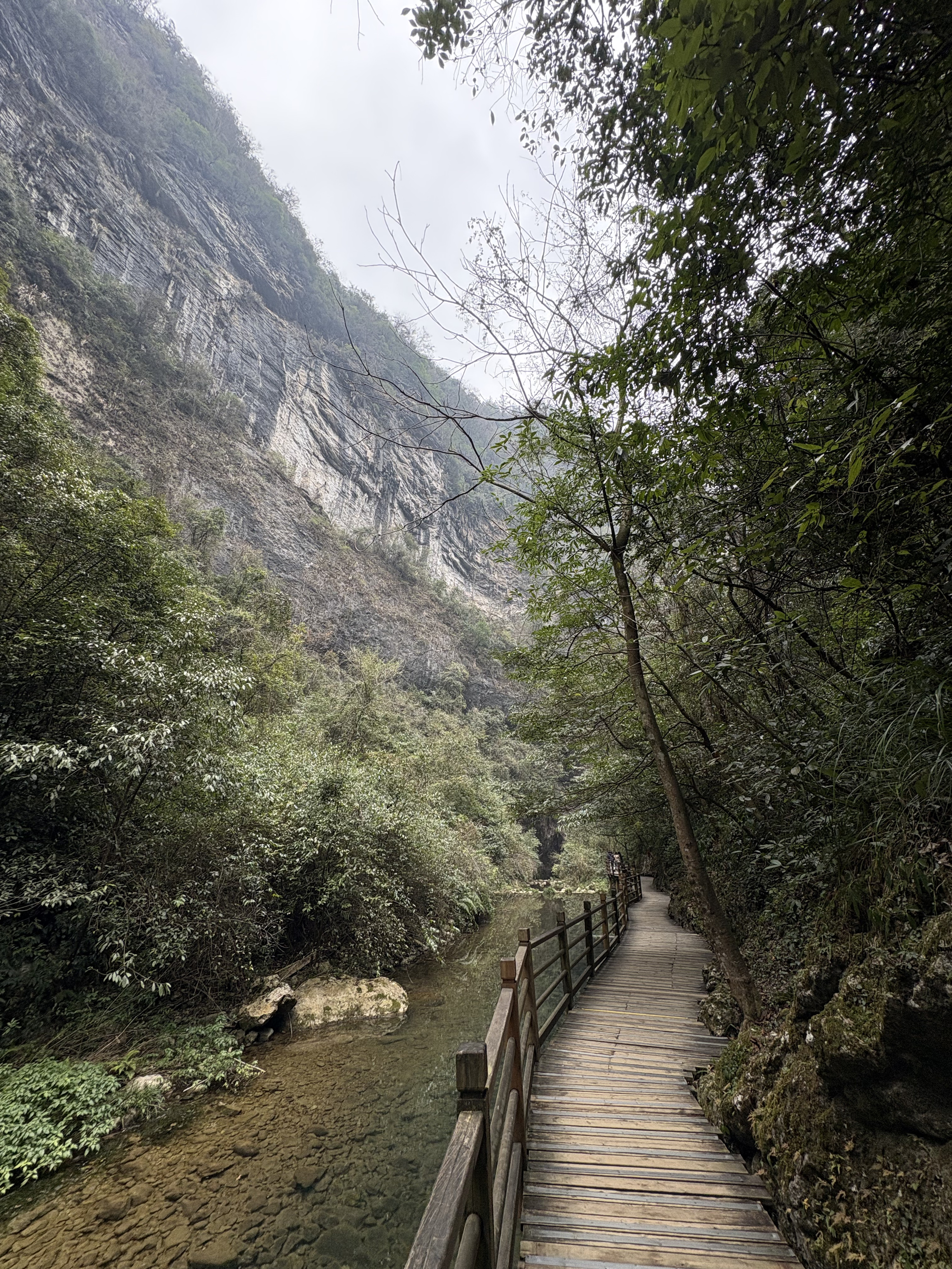 Picture China Zhangjiajie Grand Canion 2026-01 5 - Discovery Grand Canion