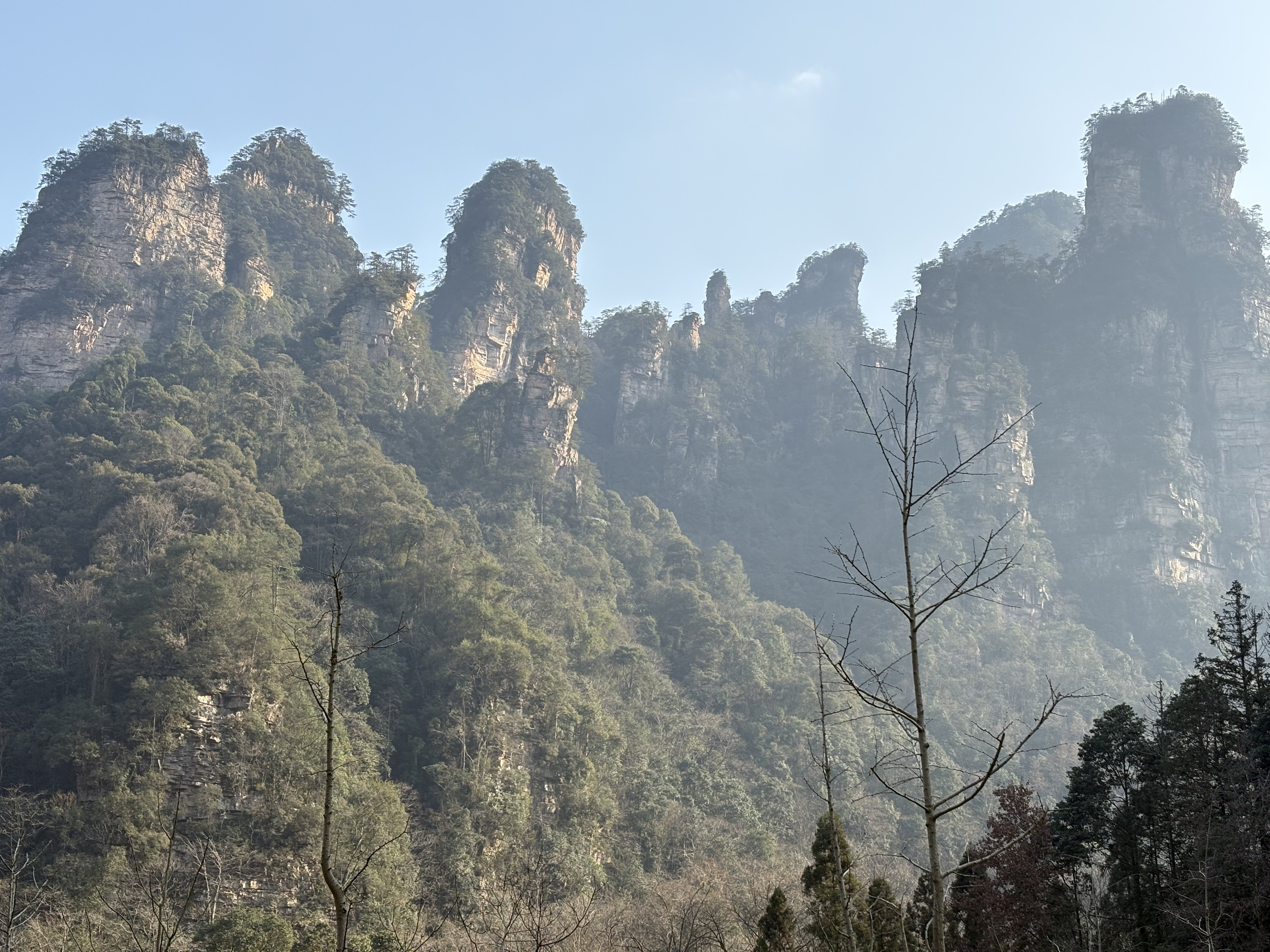 Picture China Zhangjiajie Tianzi Mountrain 2026-01 399 - Discovery Tianzi Mountrain