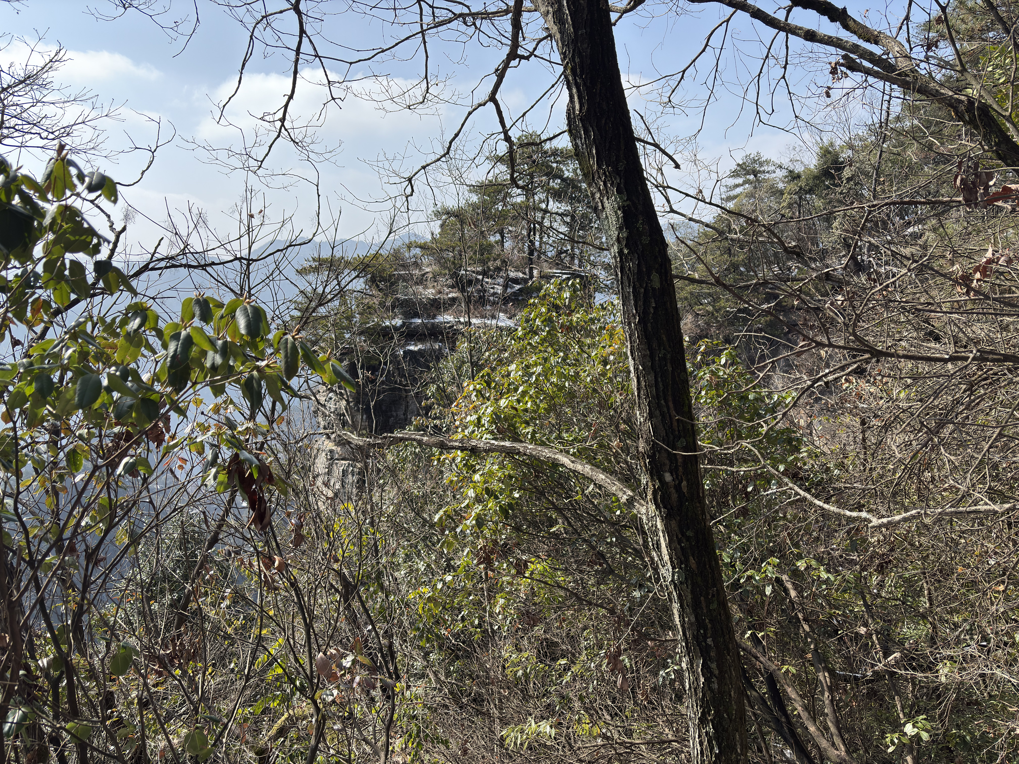 Picture China Zhangjiajie Tianzi Mountrain 2026-01 6 - Journey Tianzi Mountrain