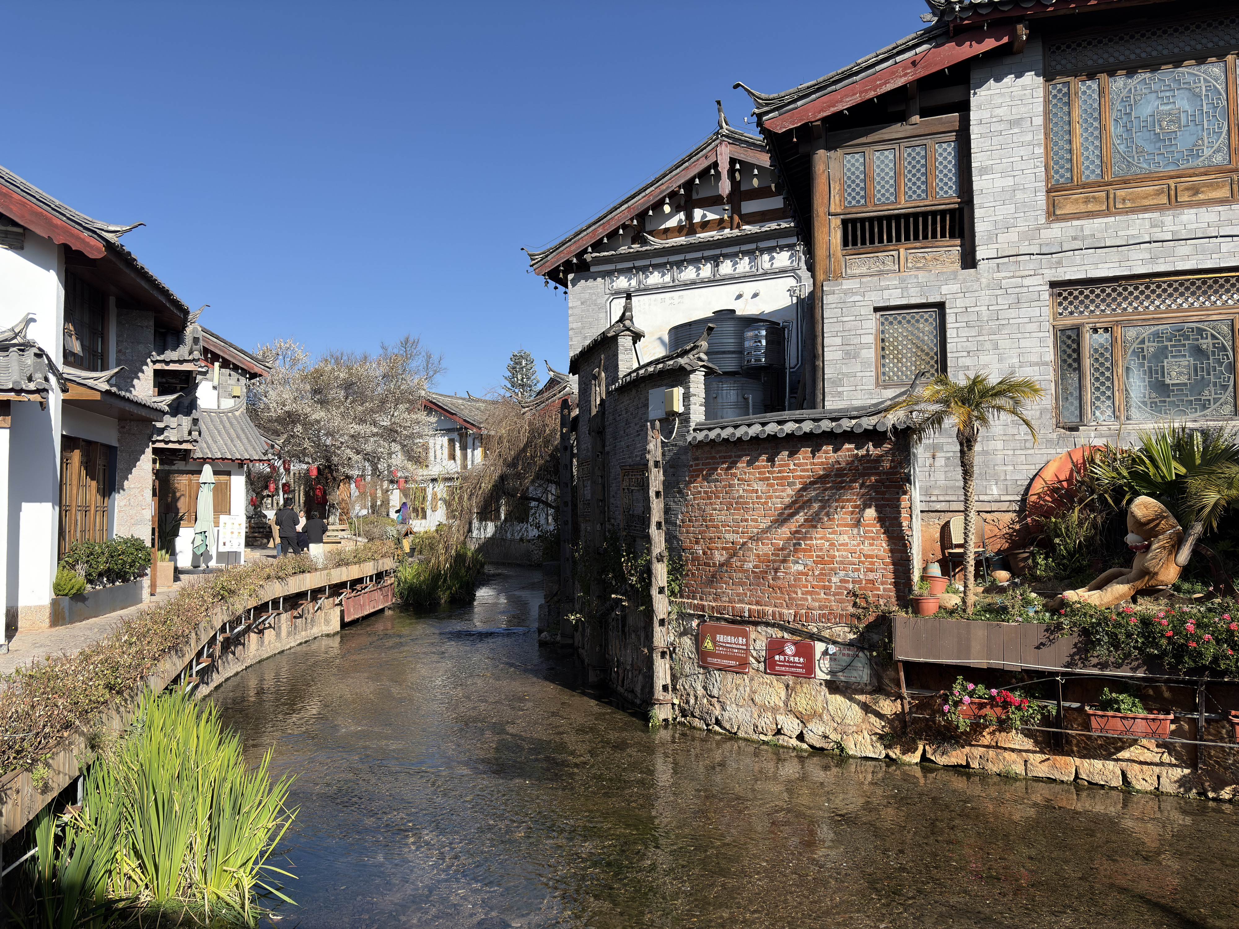 Picture China Lijiang 2026-01 790 - Tour Lijiang